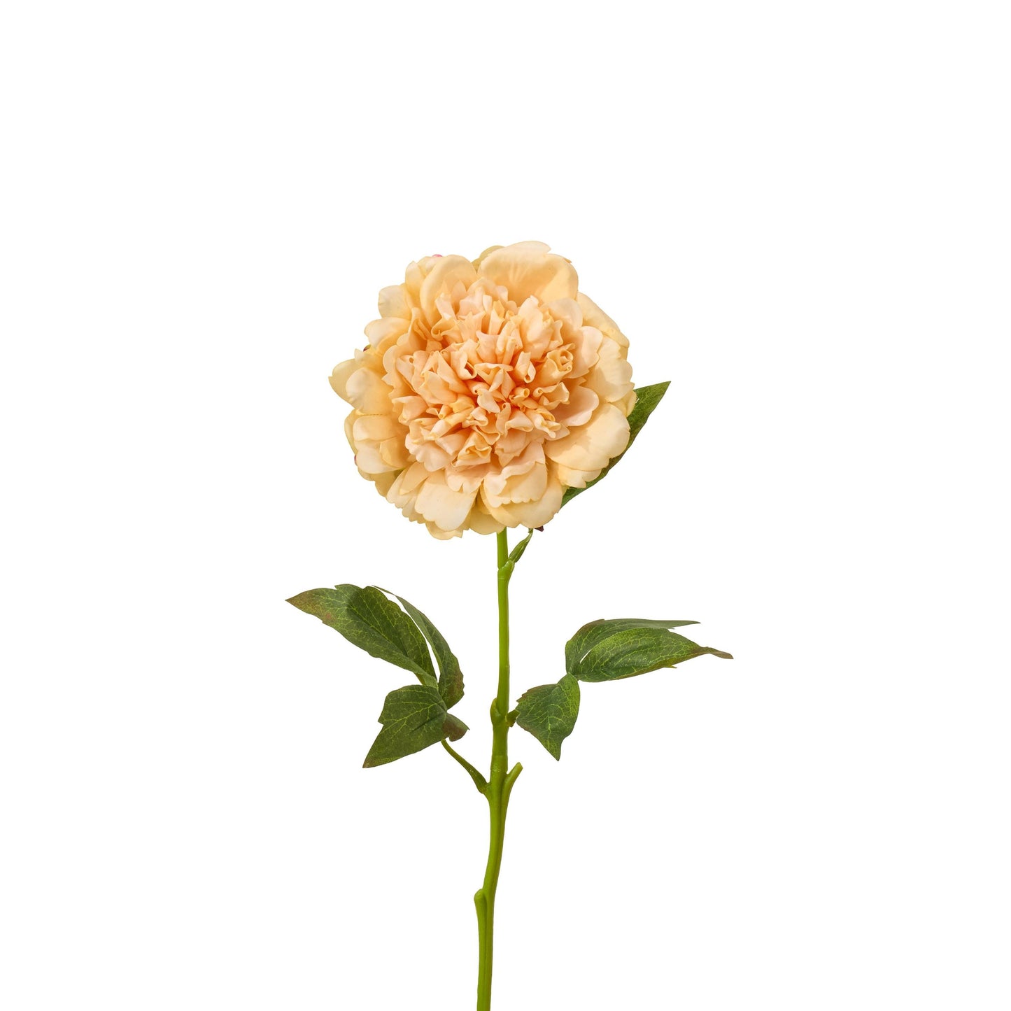 Real touch peony single stem in peach