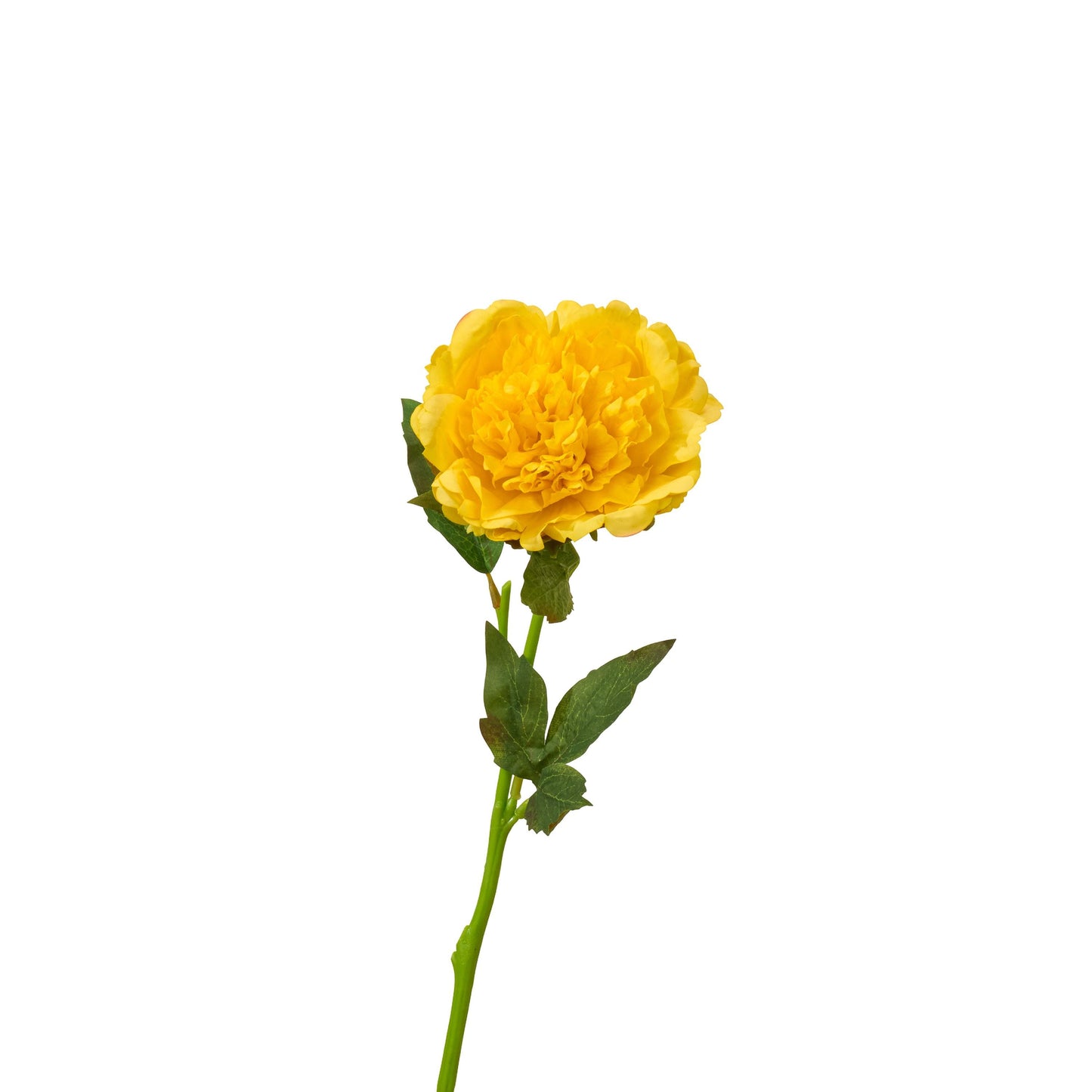 Real touch peony single stem in yellow