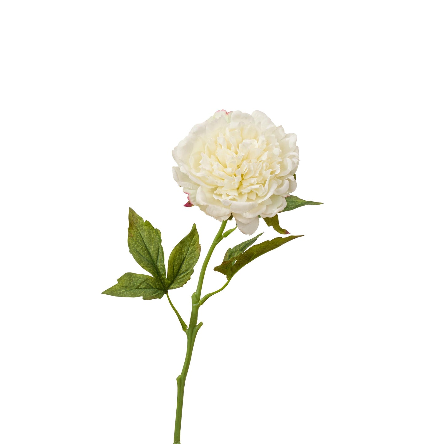 Single white real touch peony stem with leaves