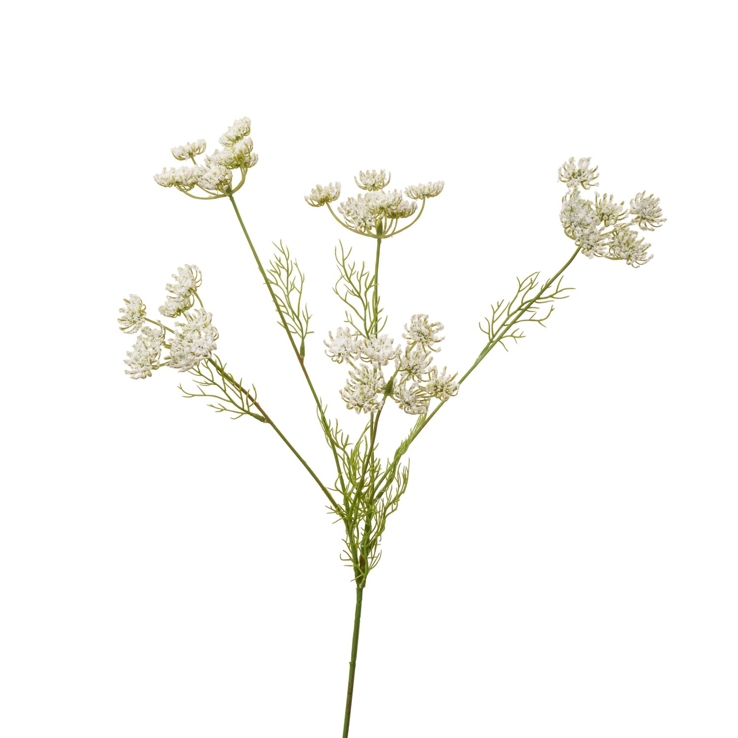 31 inch faux Queen Anne's lace branch in white - single stem