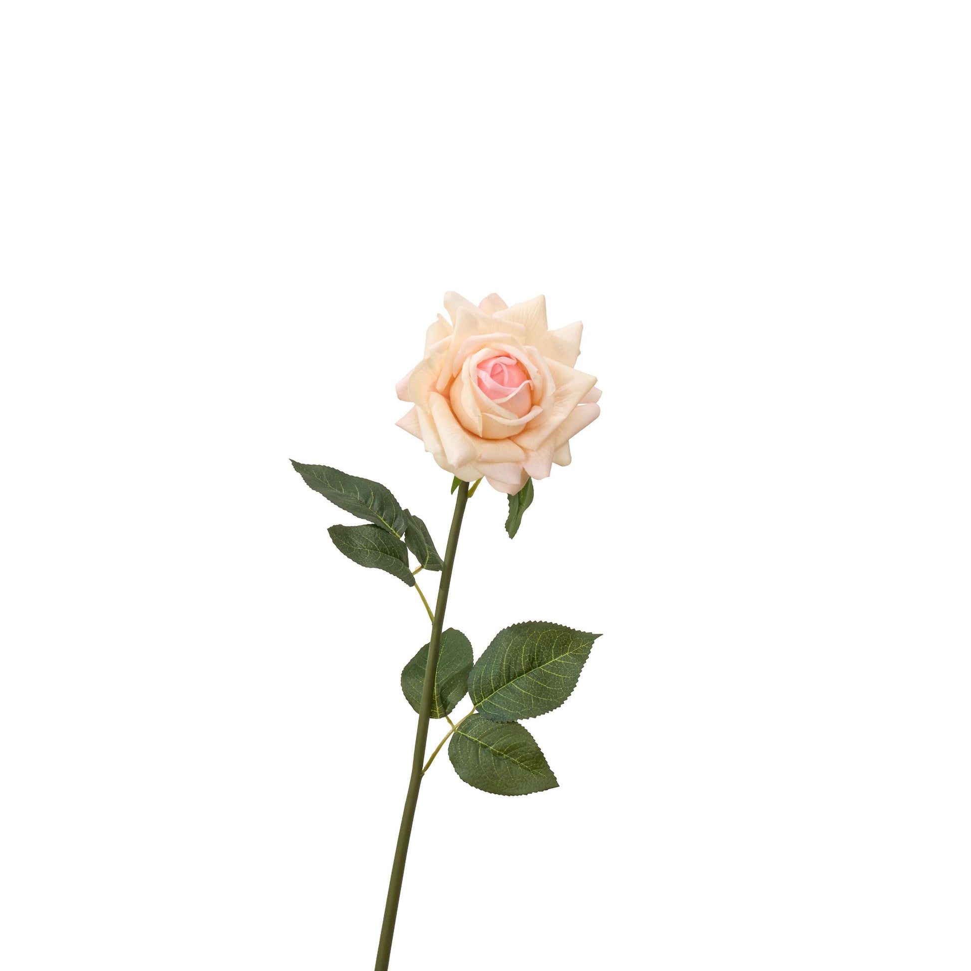 30 inch real touch full bloom rose single stem in pinky peach