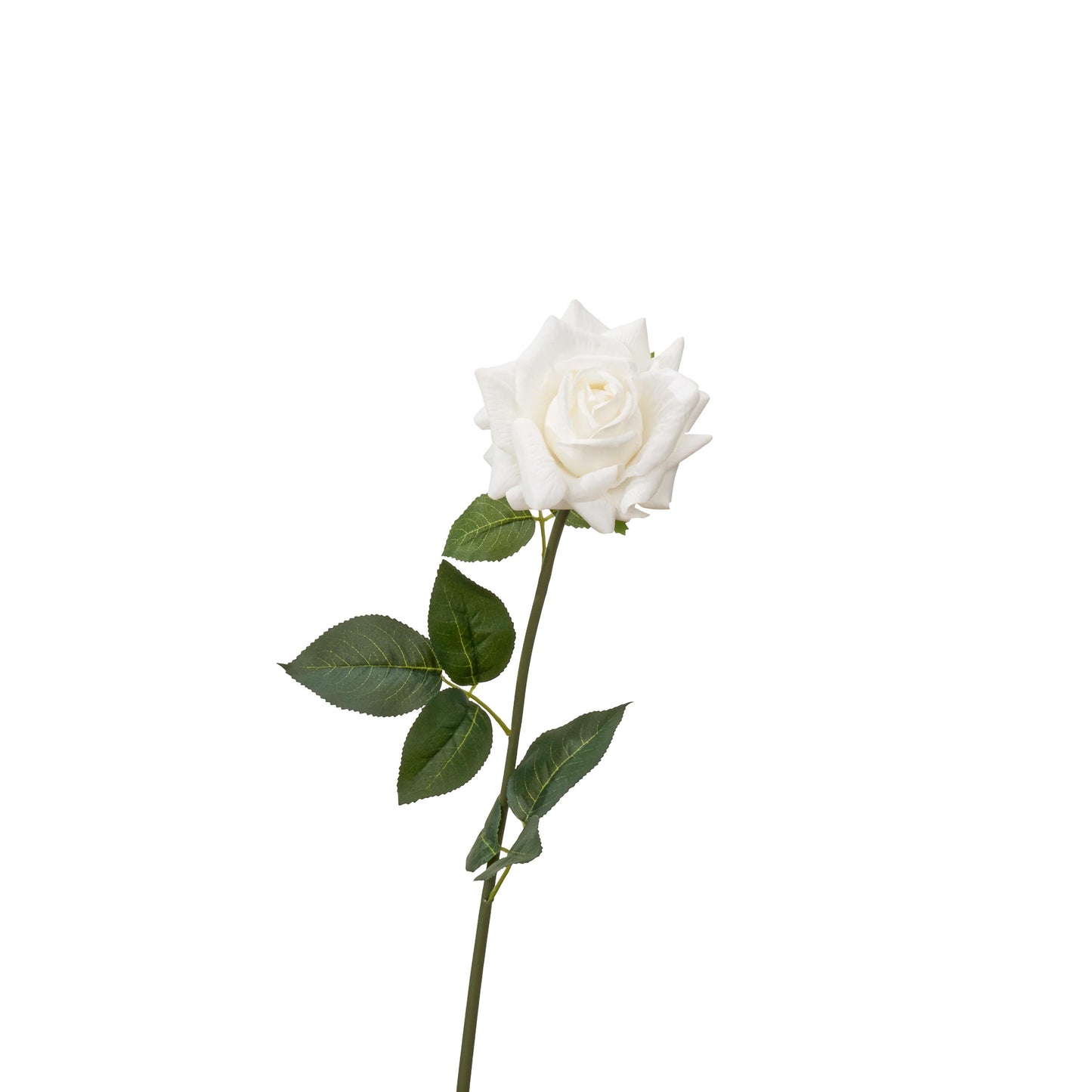 30 inch real touch full bloom rose single stem in white