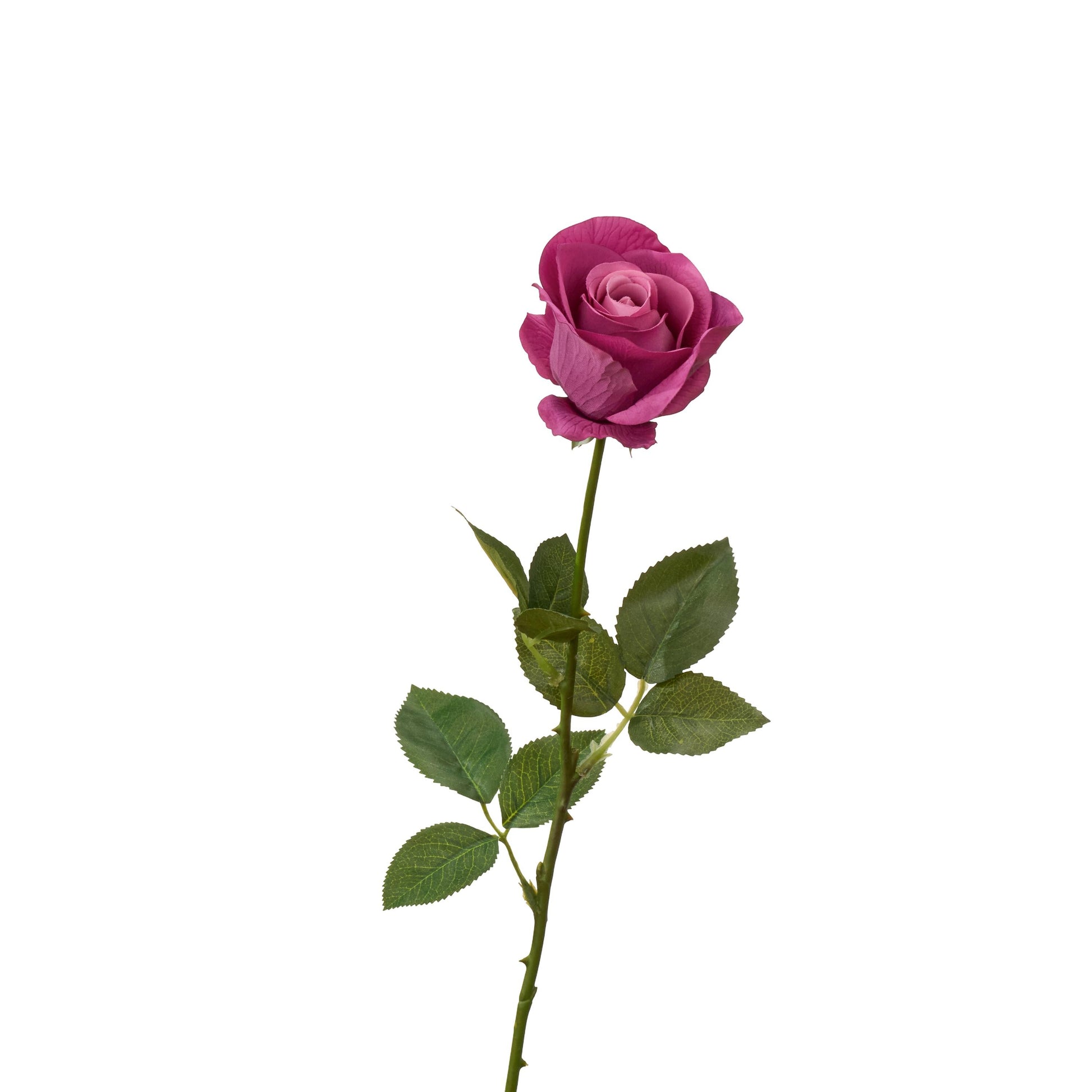 Real touch half opened rose single long stem in mulberry