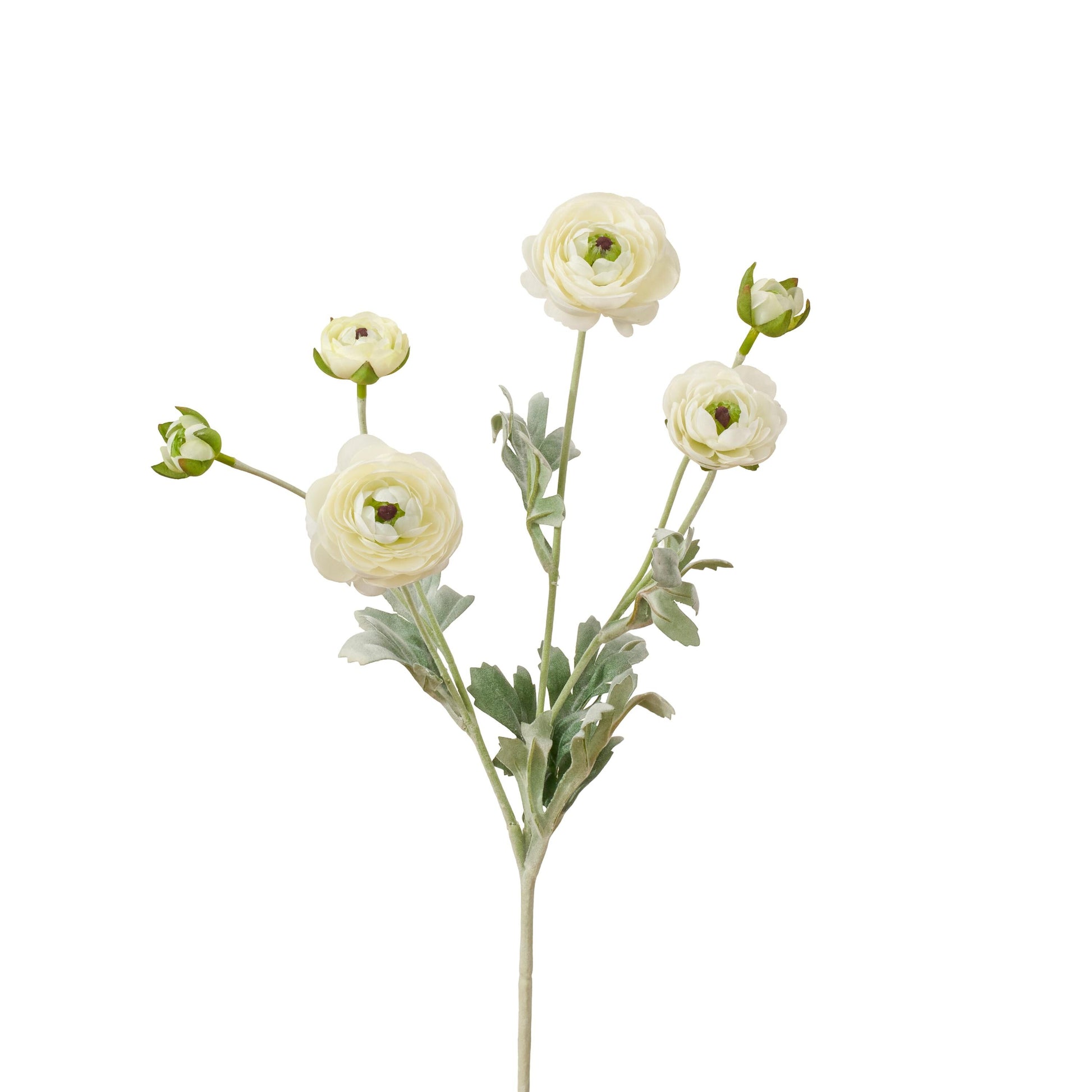 Single white faux ranunculus stem with 6 heads