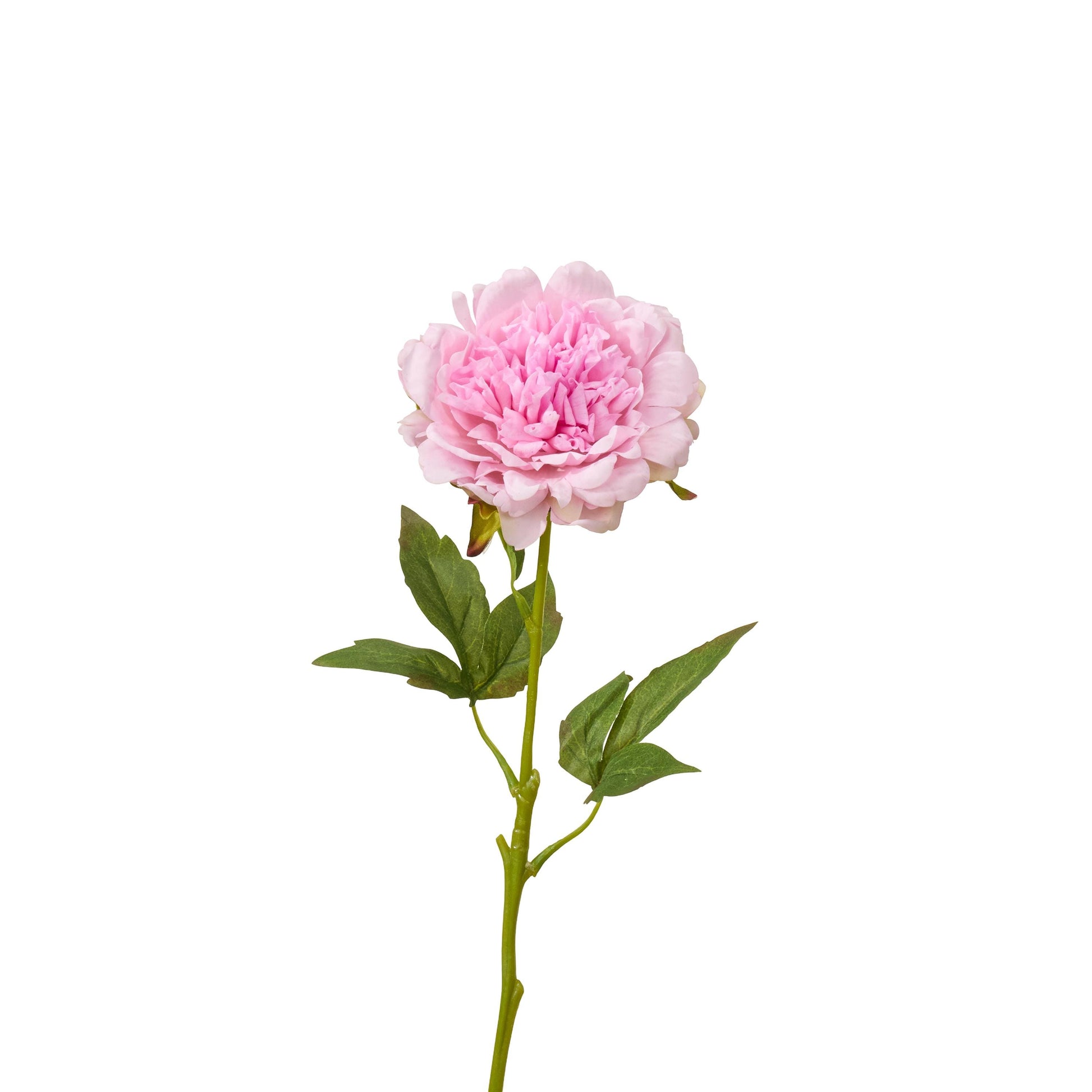 Real touch peony single stem in light pink