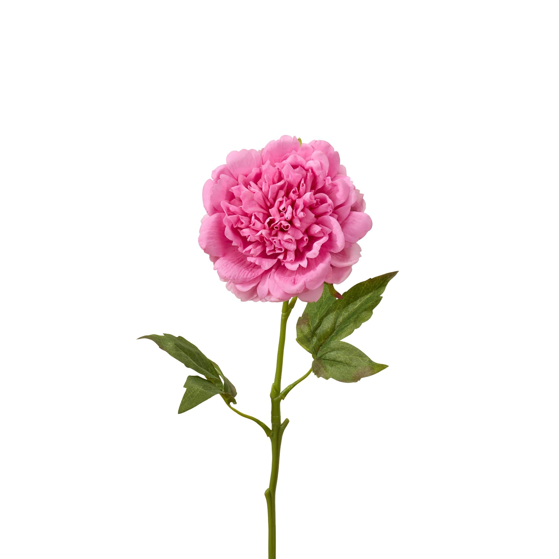 Real touch peony single stem in pink