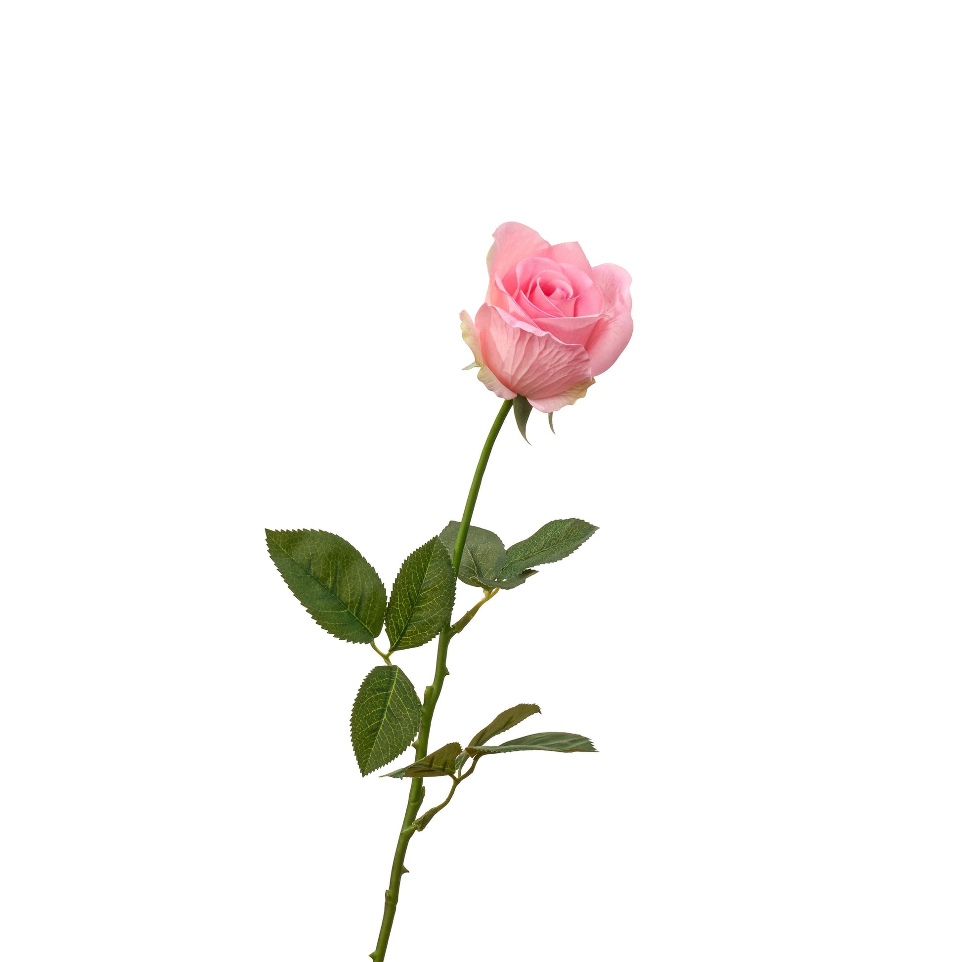 Real touch half opened rose single long stem in pink