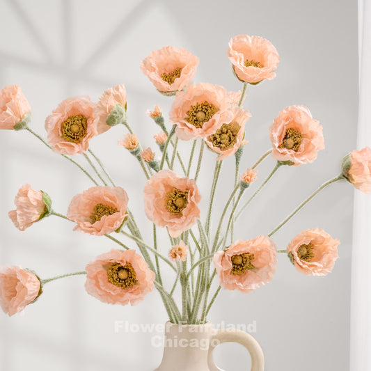 Light coral Iceland poppy stems arranged as a bouquet