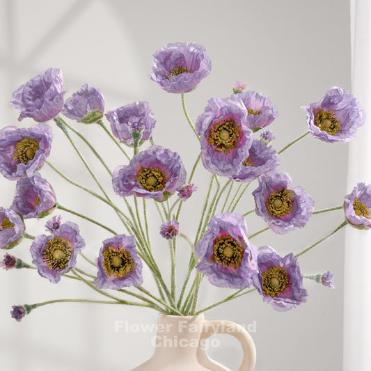 Purple Iceland poppy stems arranged as a bouquet