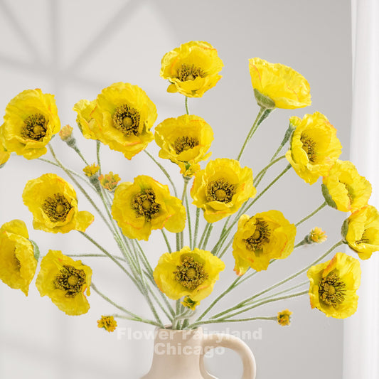 Yellow Iceland poppy stems arranged as a bouquet