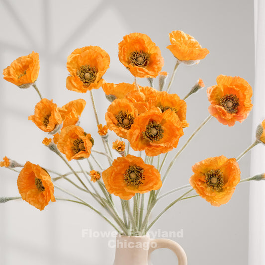 Orange Iceland poppy stems arranged as a bouquet