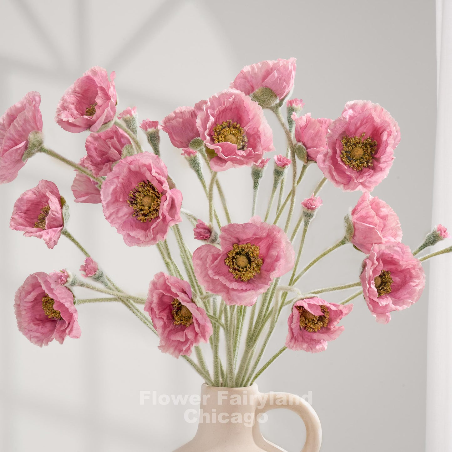 Mauve pink Iceland poppy stems arranged as a bouquet