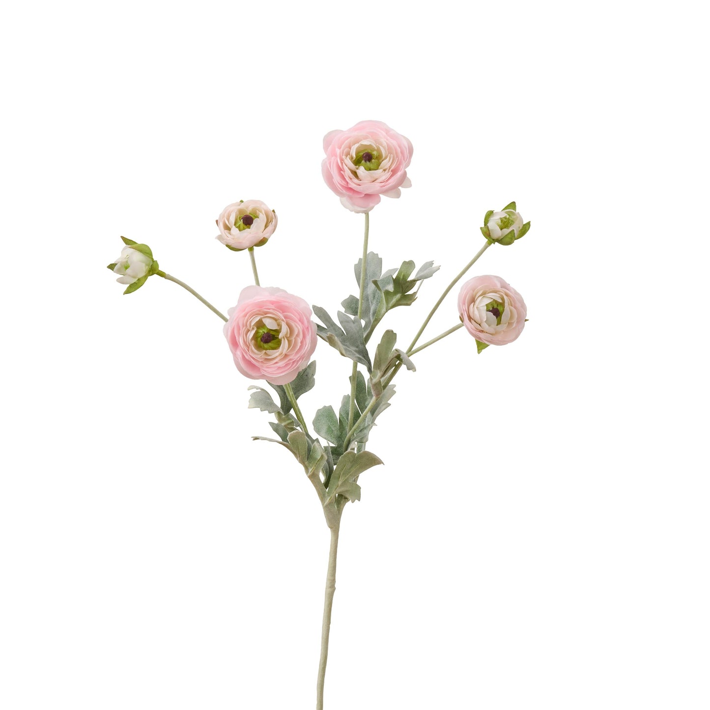 Single soft pink faux ranunculus stem with 6 heads
