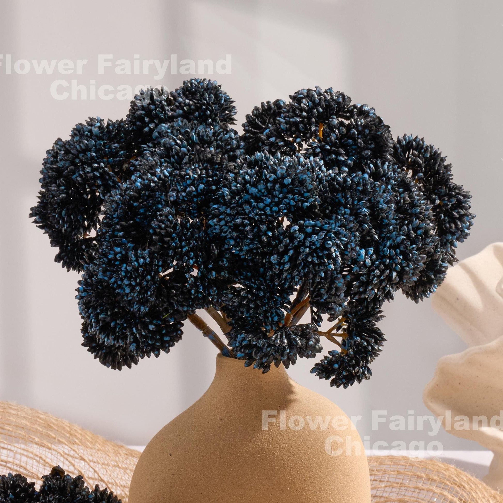 Blackish blue sedum clusters styled in a vase