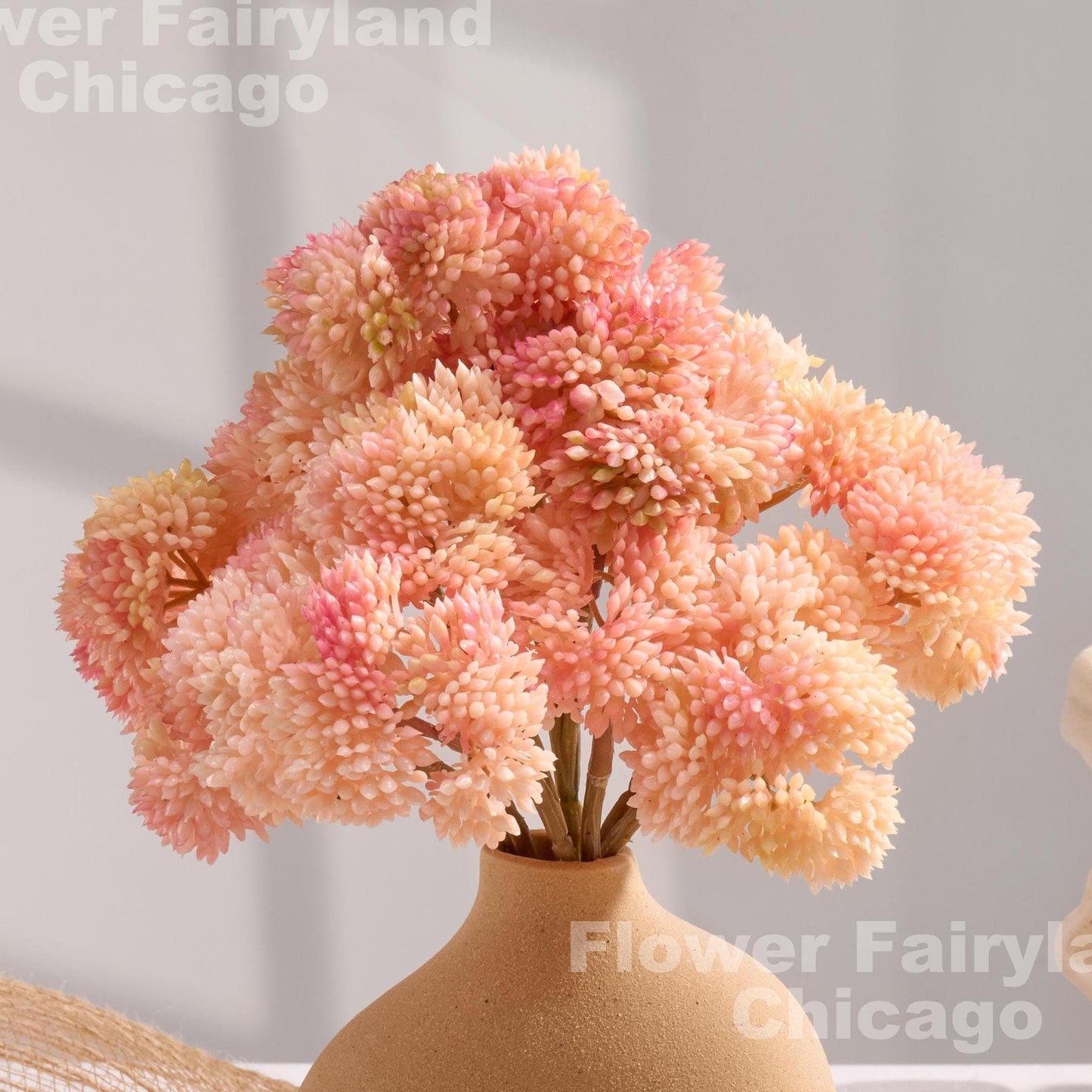 Light pink sedum cluster held in hand