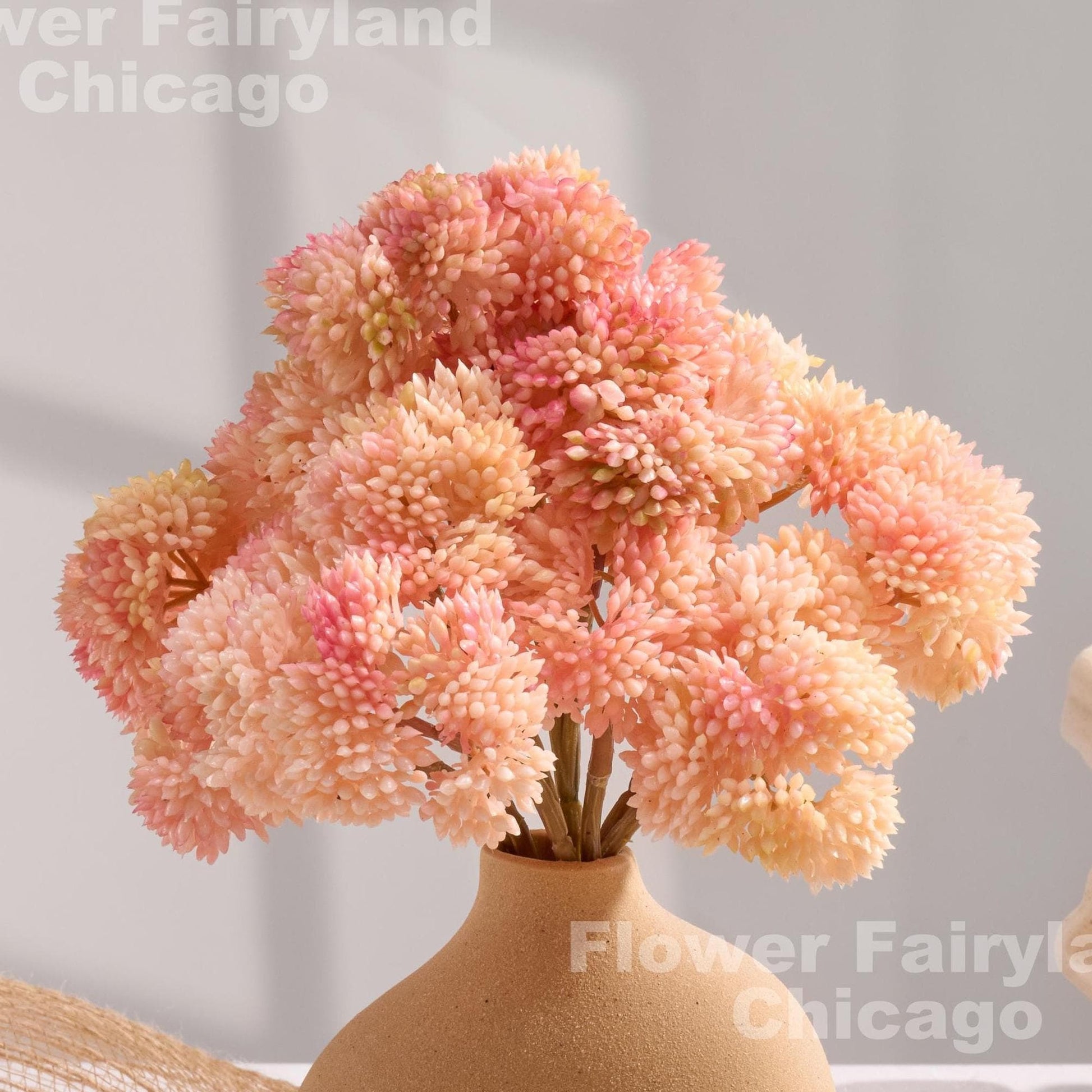 Light pink sedum cluster held in hand
