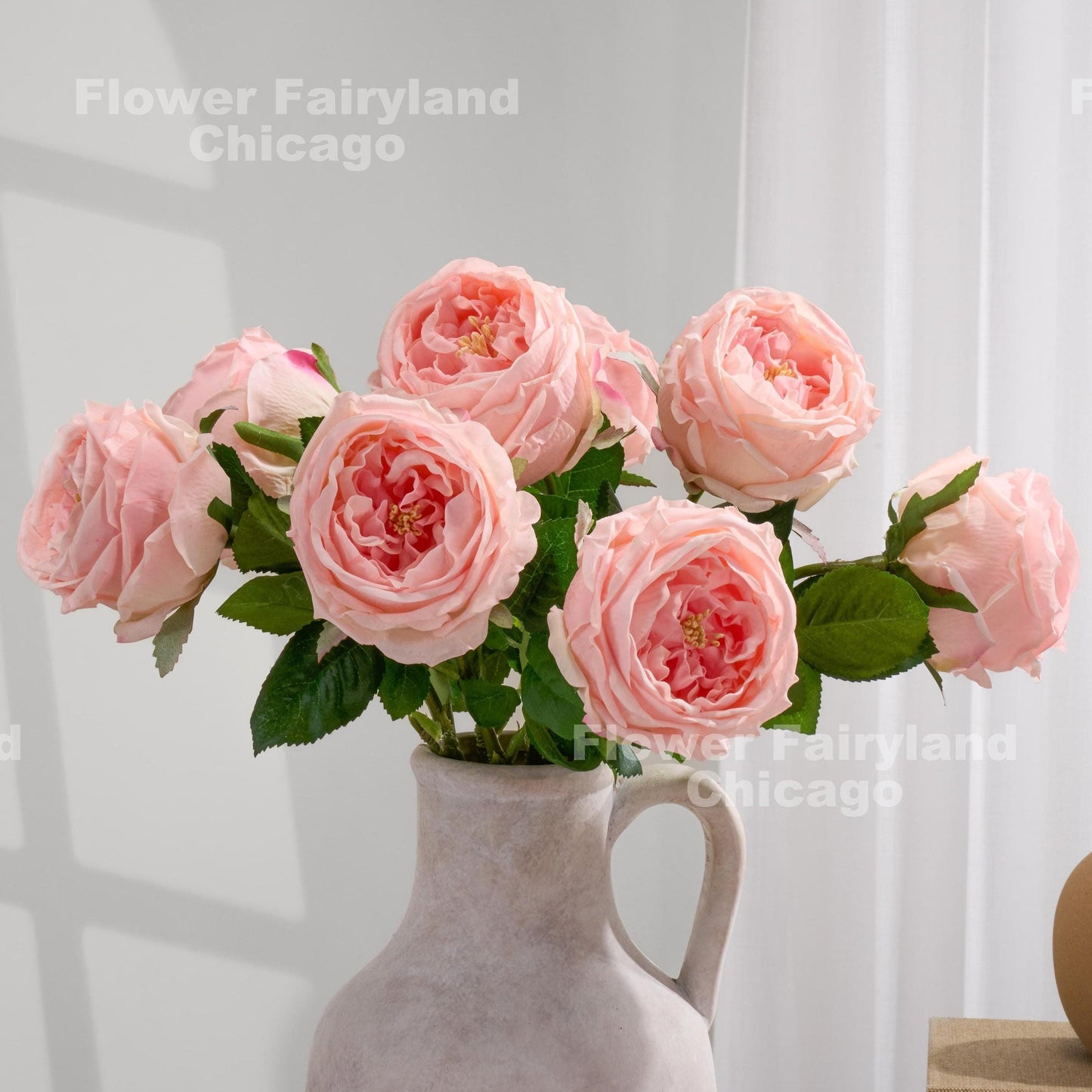 Light pink David Austin rose square cover