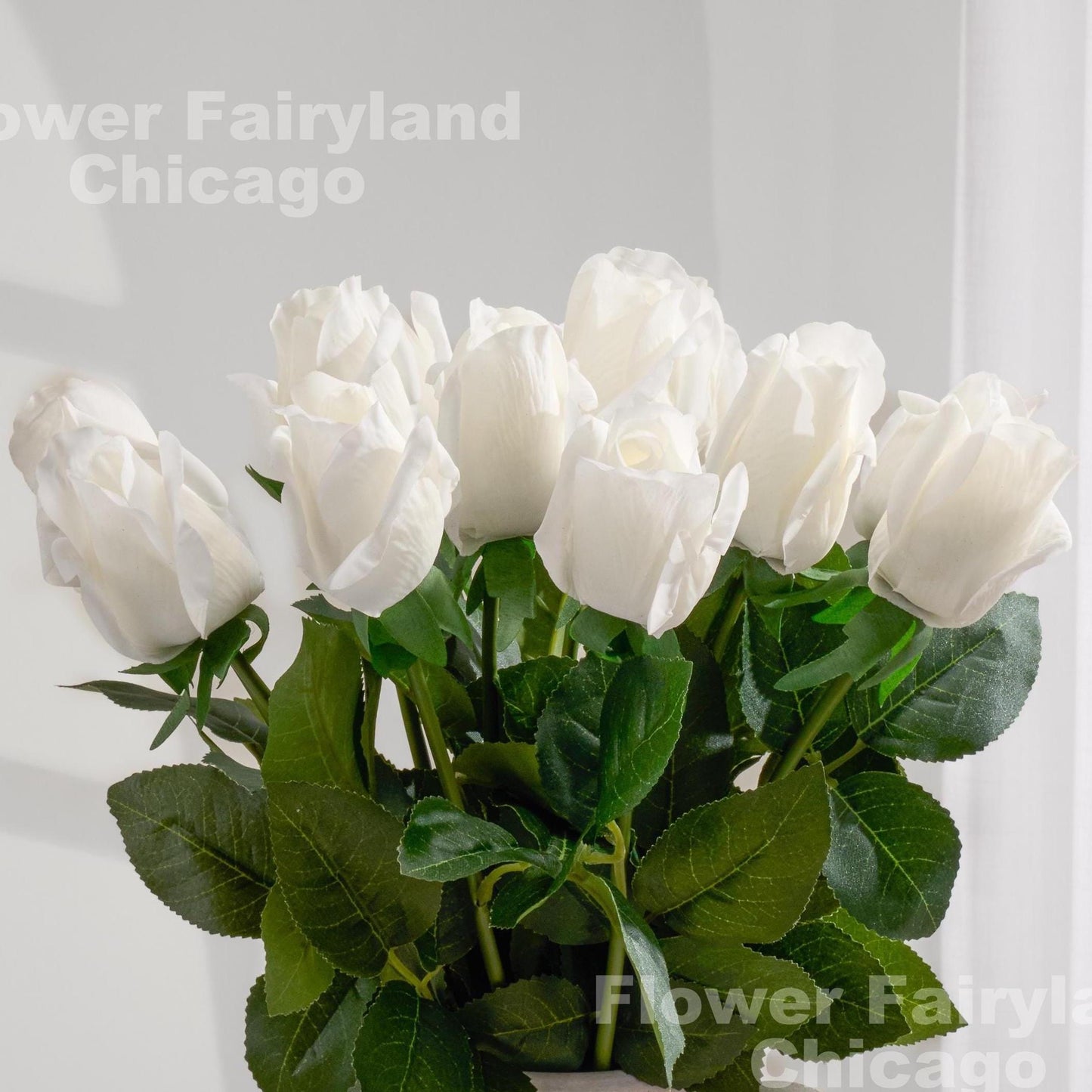 White real touch rose buds close up