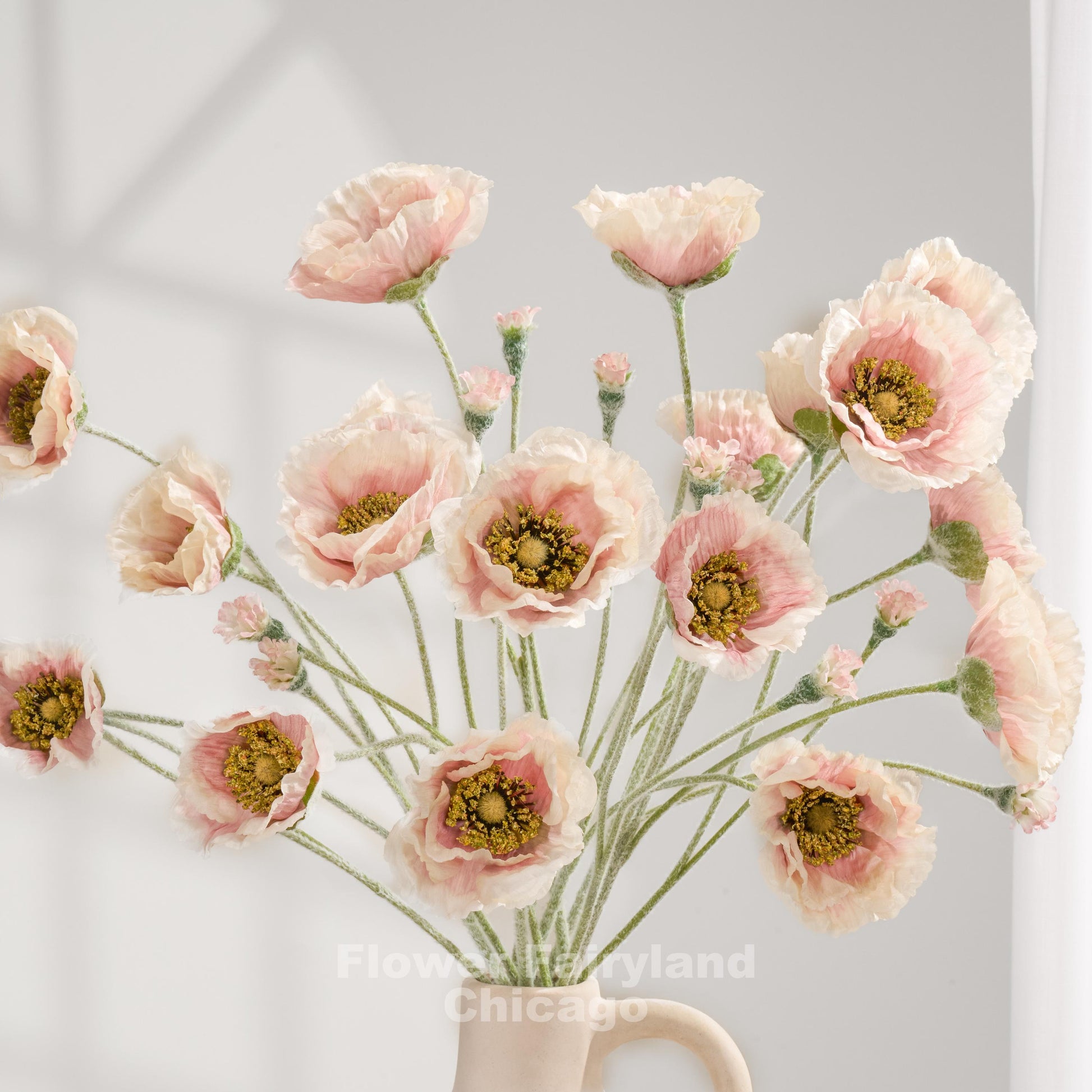 Pinky cream Iceland poppy stems arranged as a bouquet