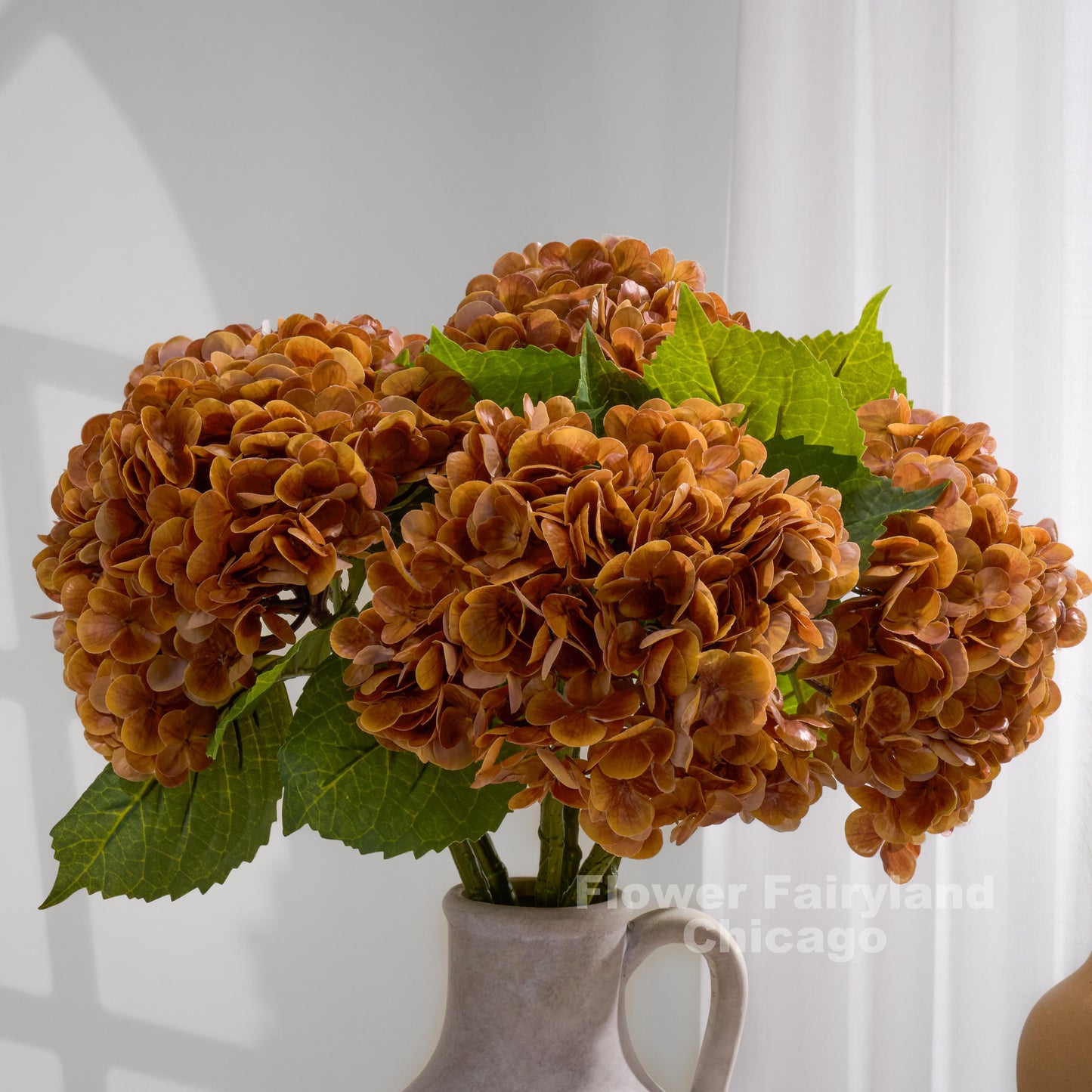 Orangish caramel hydrangea bloom detail