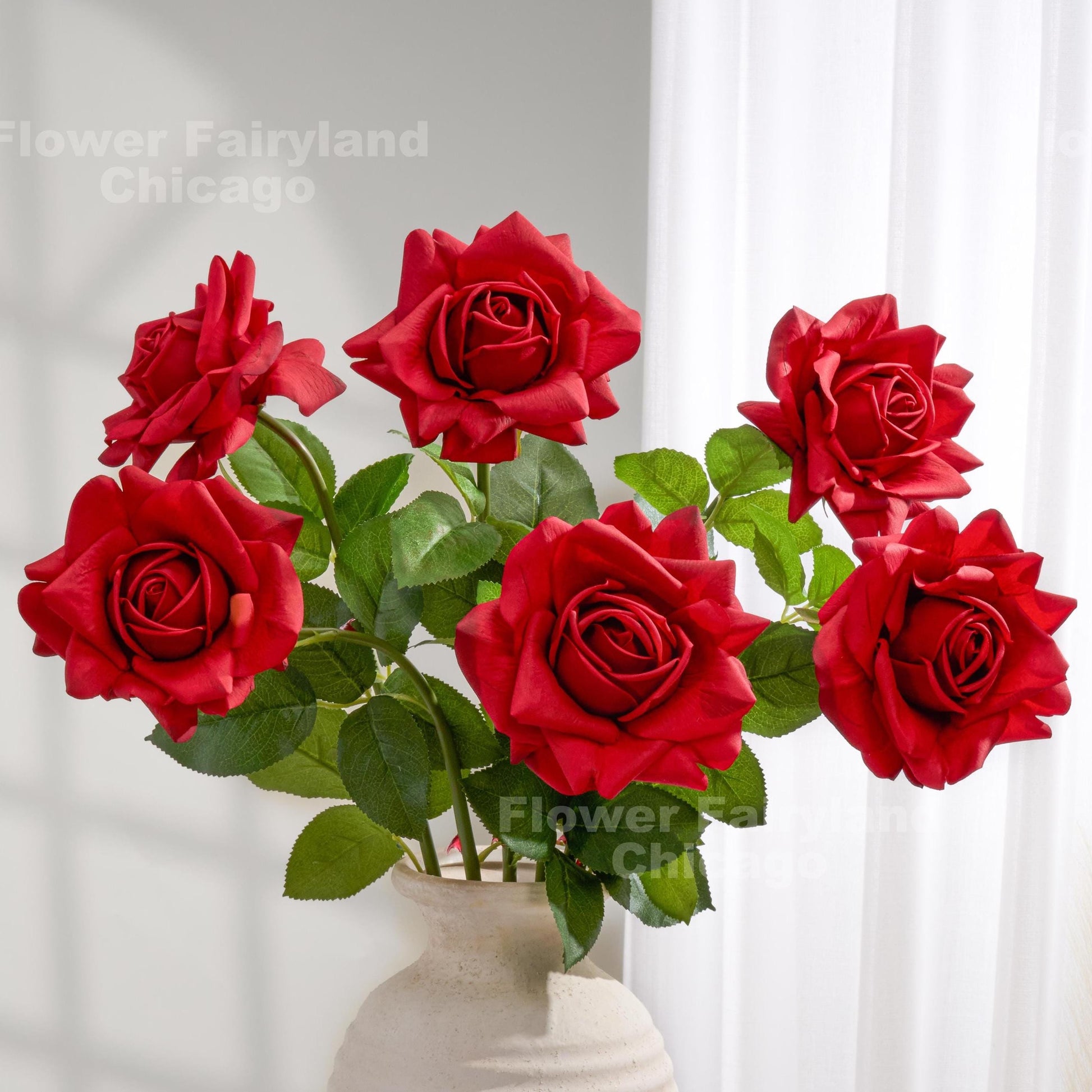 Red full bloom roses in a cream vase