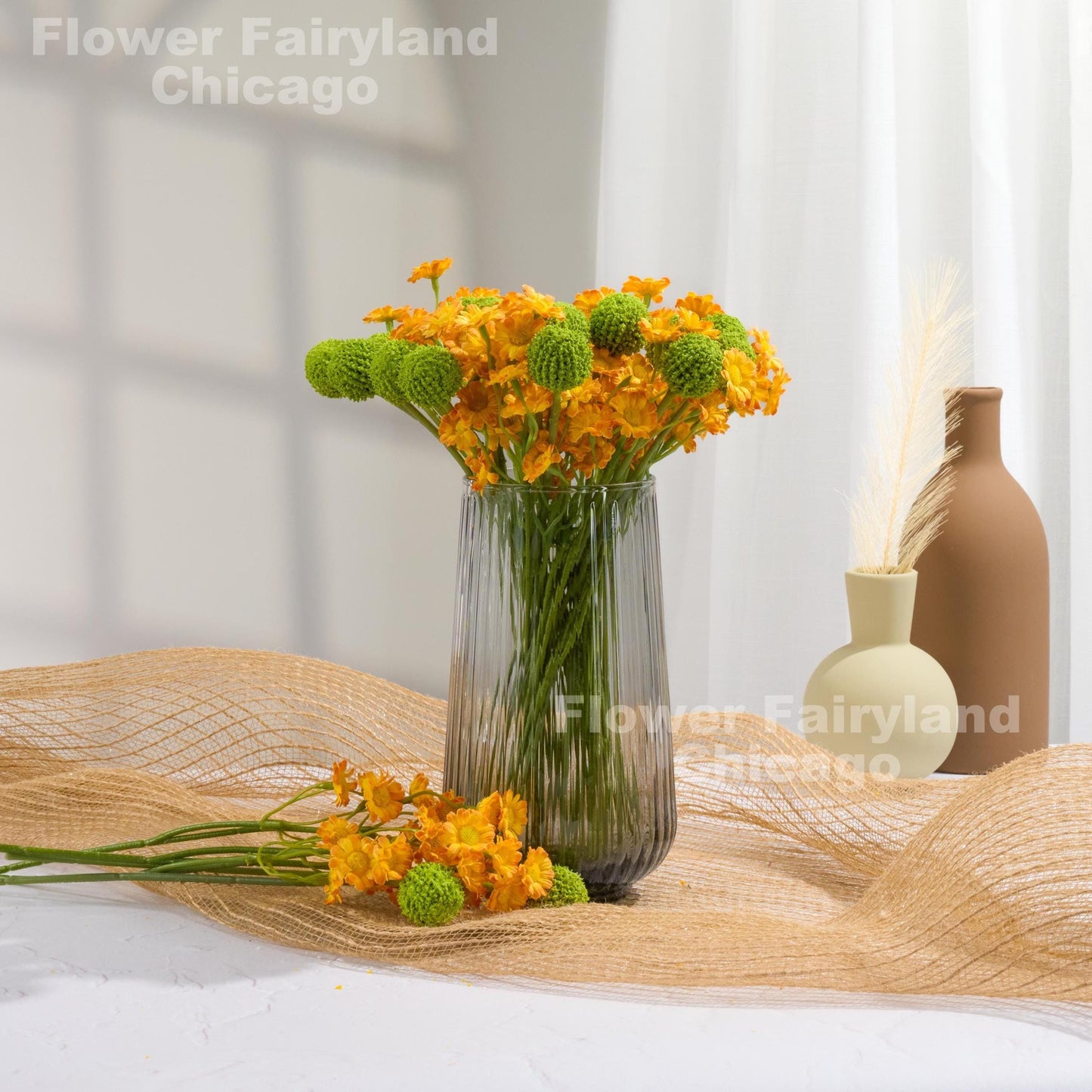 Orange chamomile blooms detail