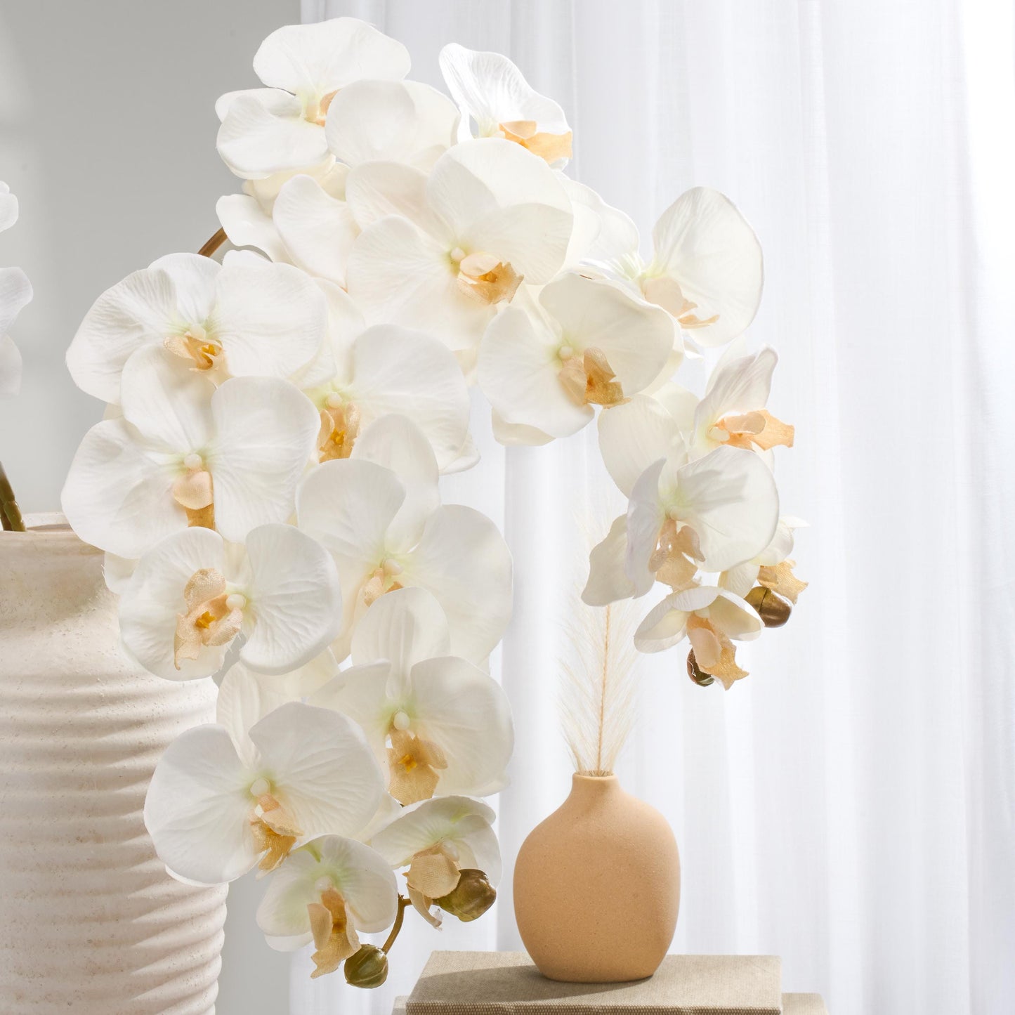 White orchid blooms detail with cream vase