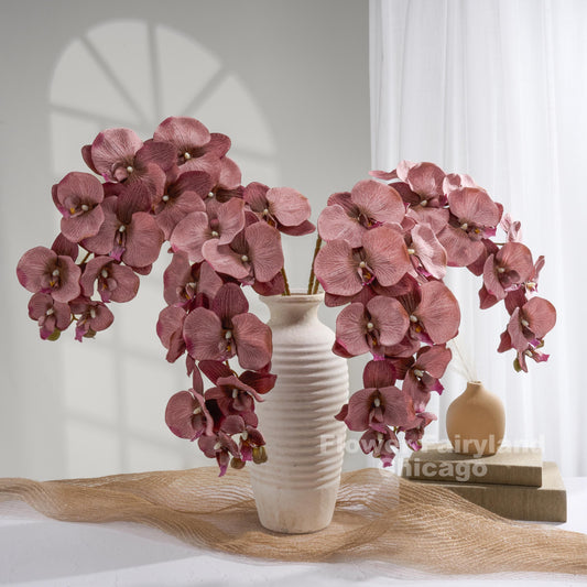 Brownish purple orchids styled in a cream vase