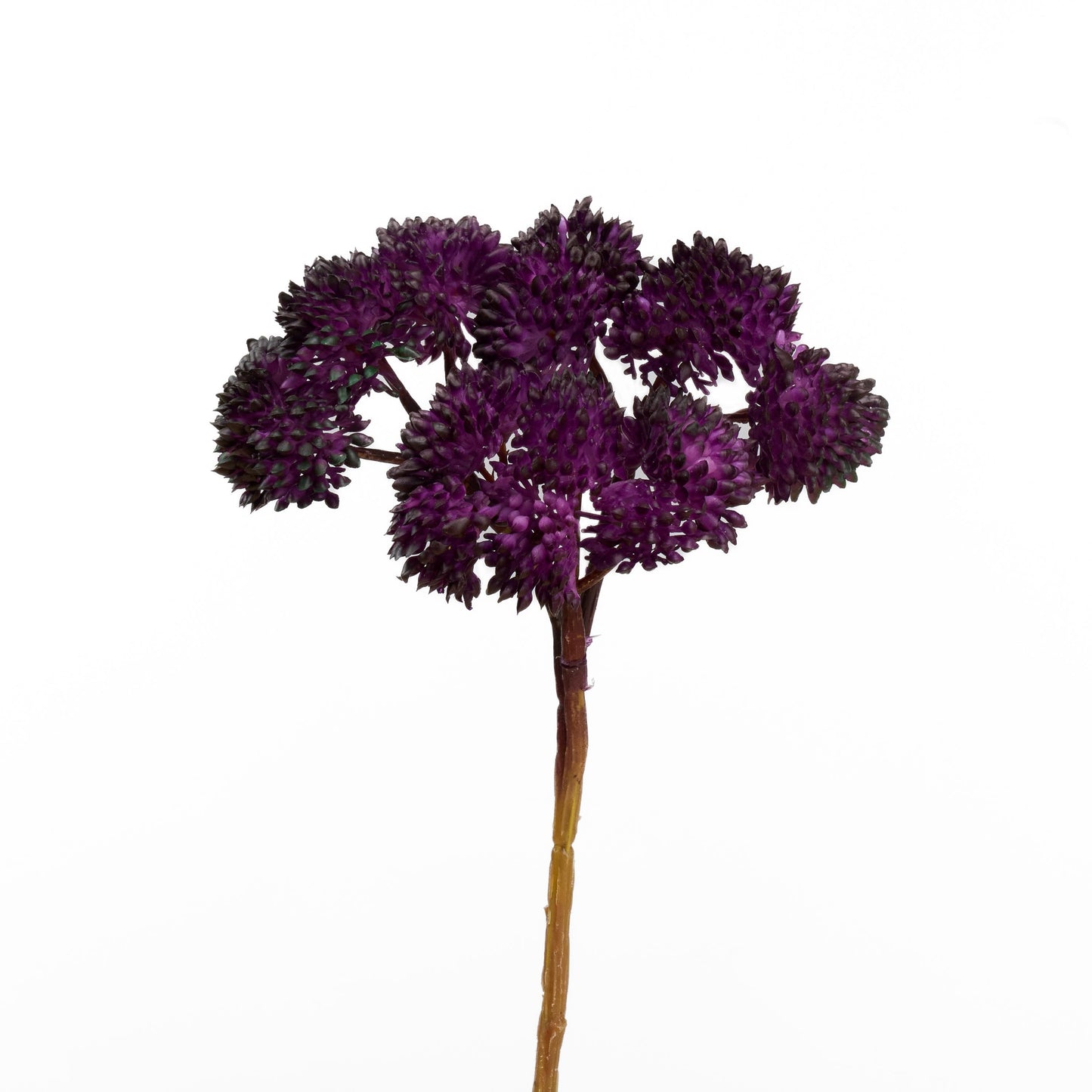 Real touch sedum cluster stem in dark purple - single stem