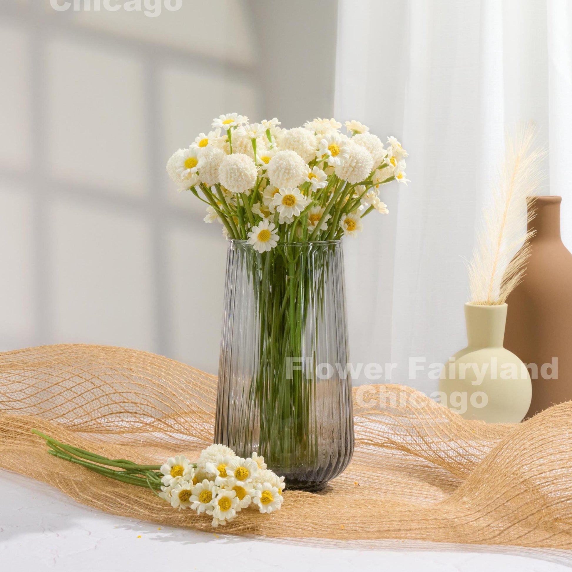 White chamomile blooms detail