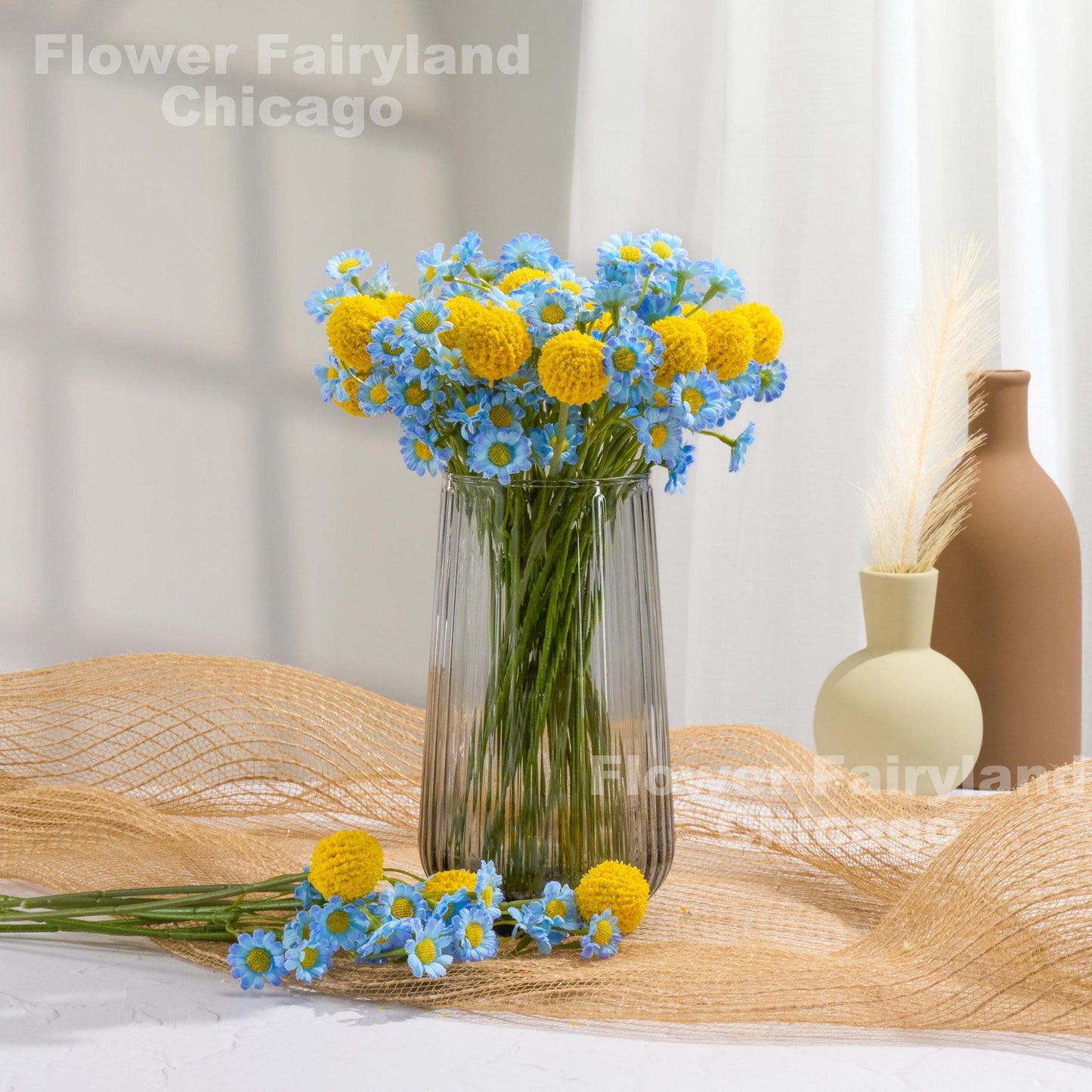 Blue chamomile blooms detail