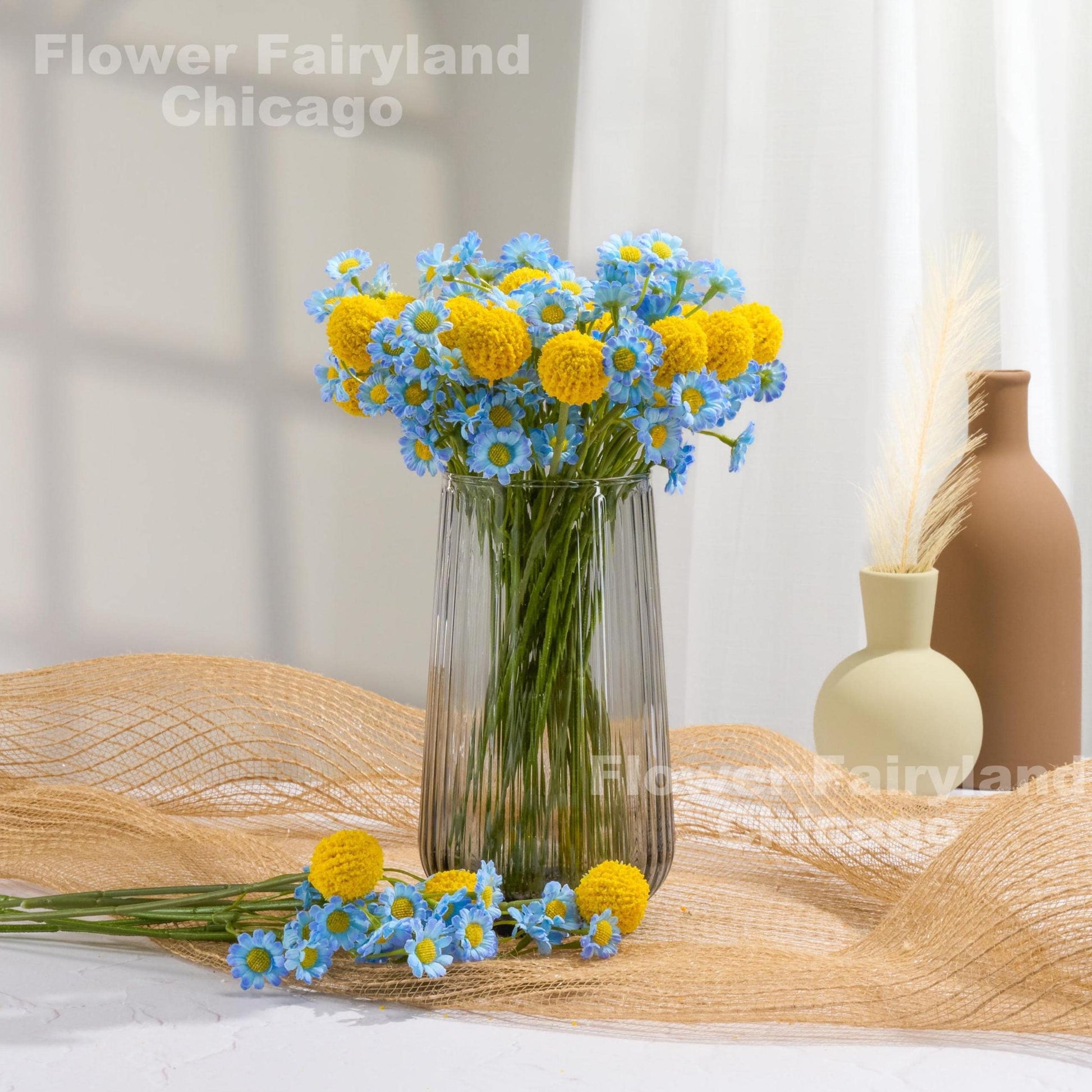 Blue chamomile blooms detail