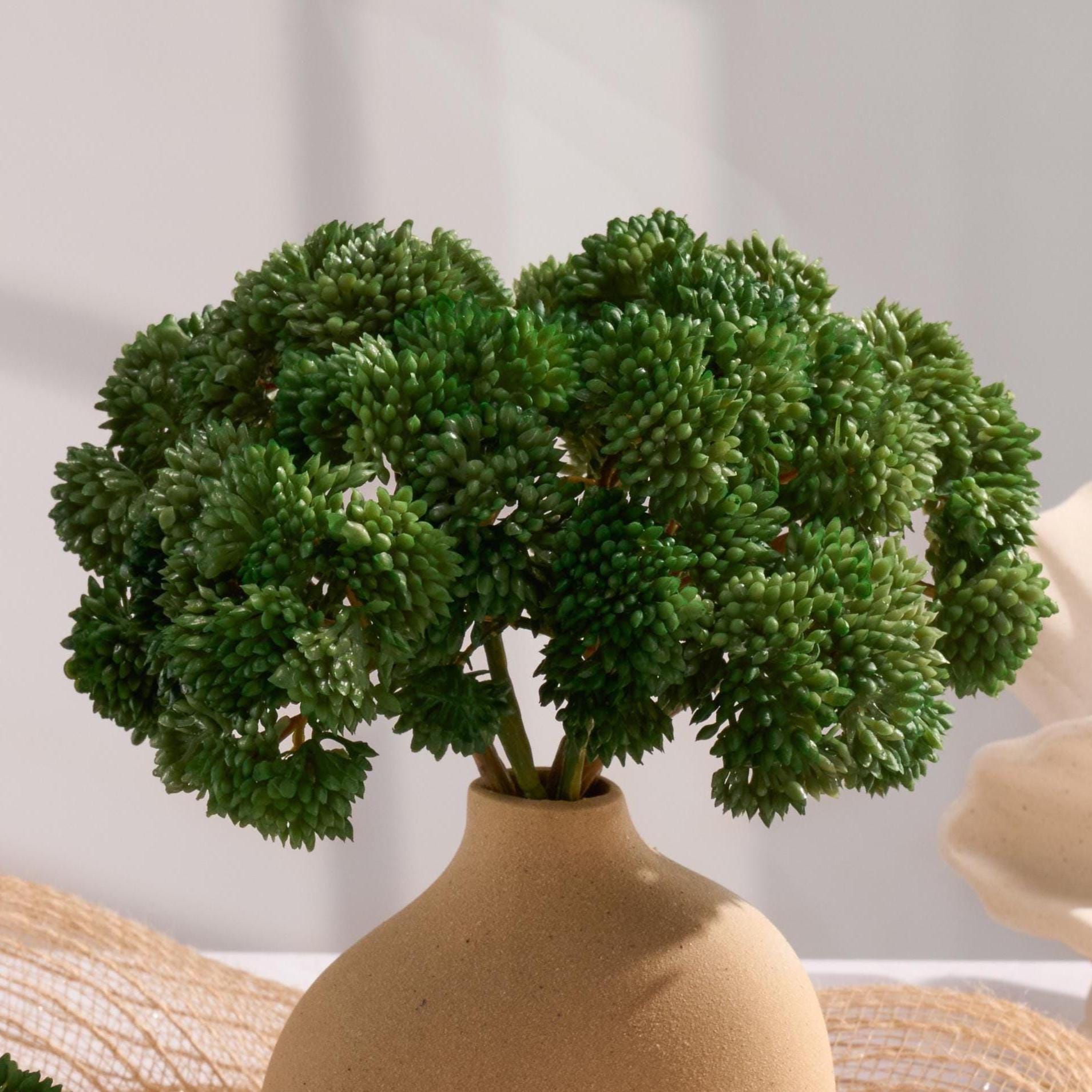 Forest green sedum clusters styled in a vase