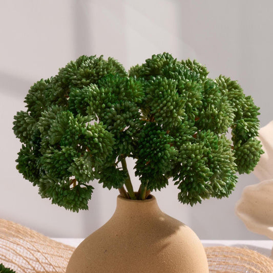 Forest green sedum clusters styled in a vase