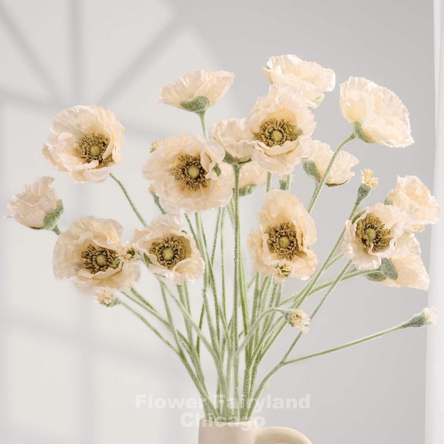 Light champagne Iceland poppy stems arranged as a bouquet