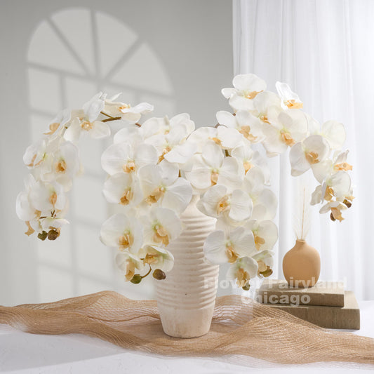 White orchids styled in a cream vase