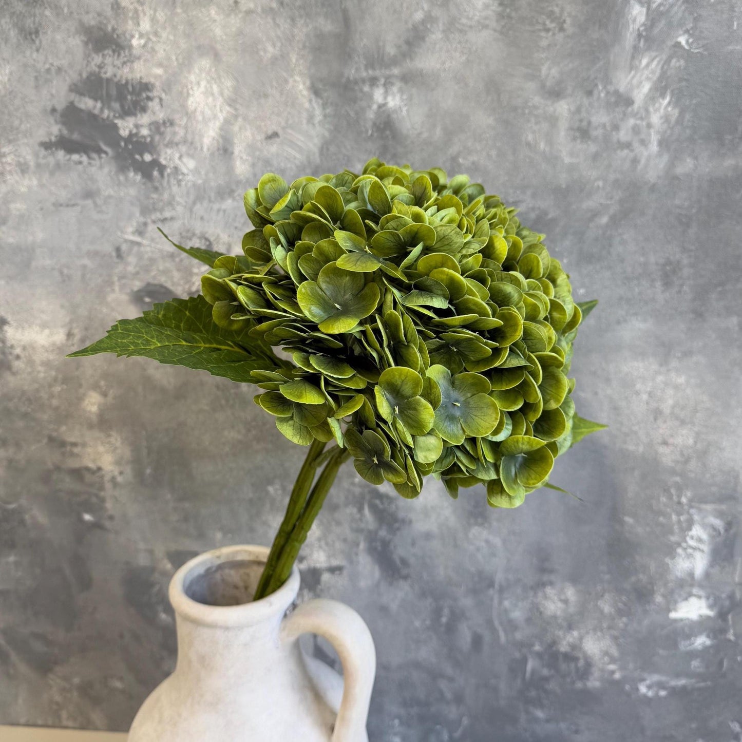 Artichoke green hydrangea close-up