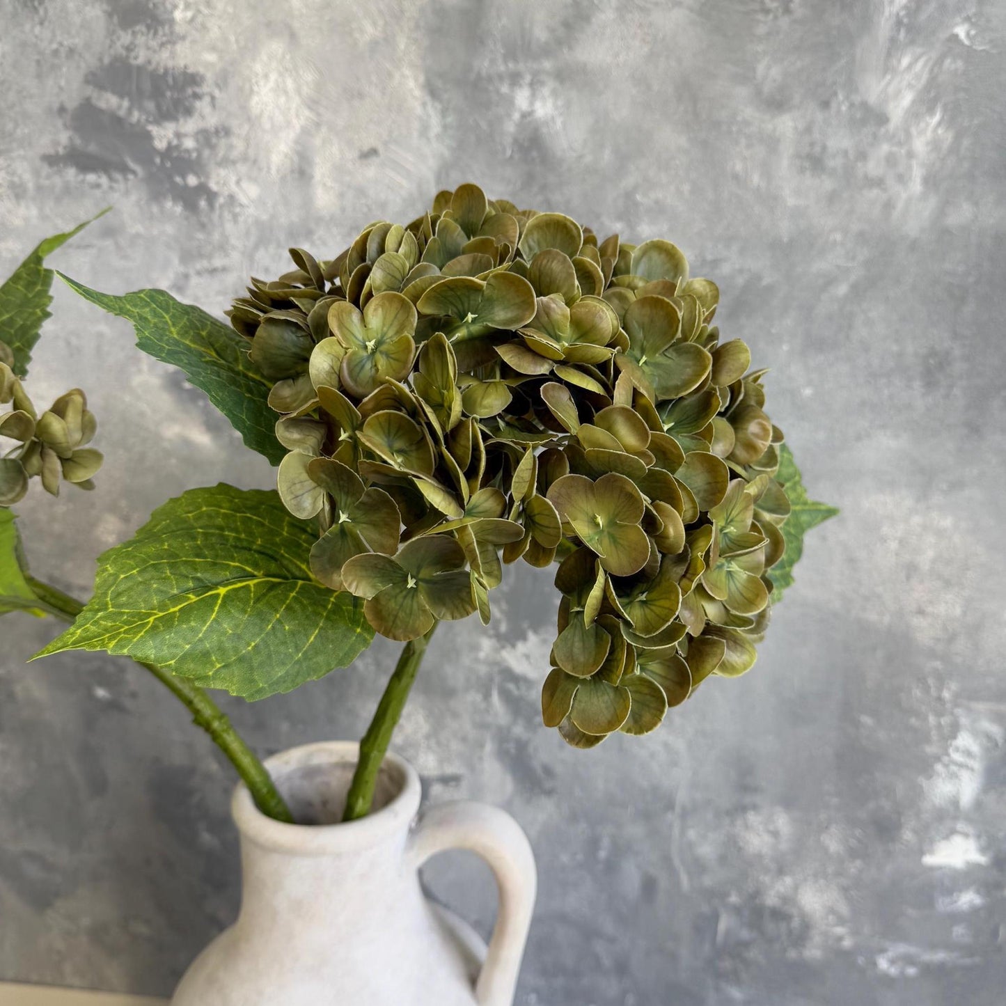 Brownish green hydrangea bloom detail