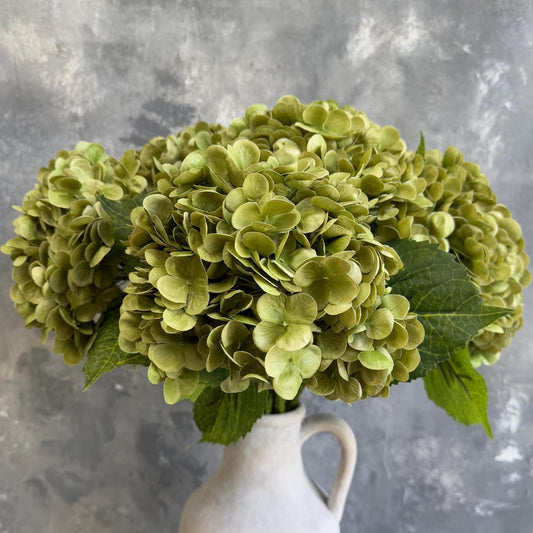 Antique matcha green real touch hydrangea stem