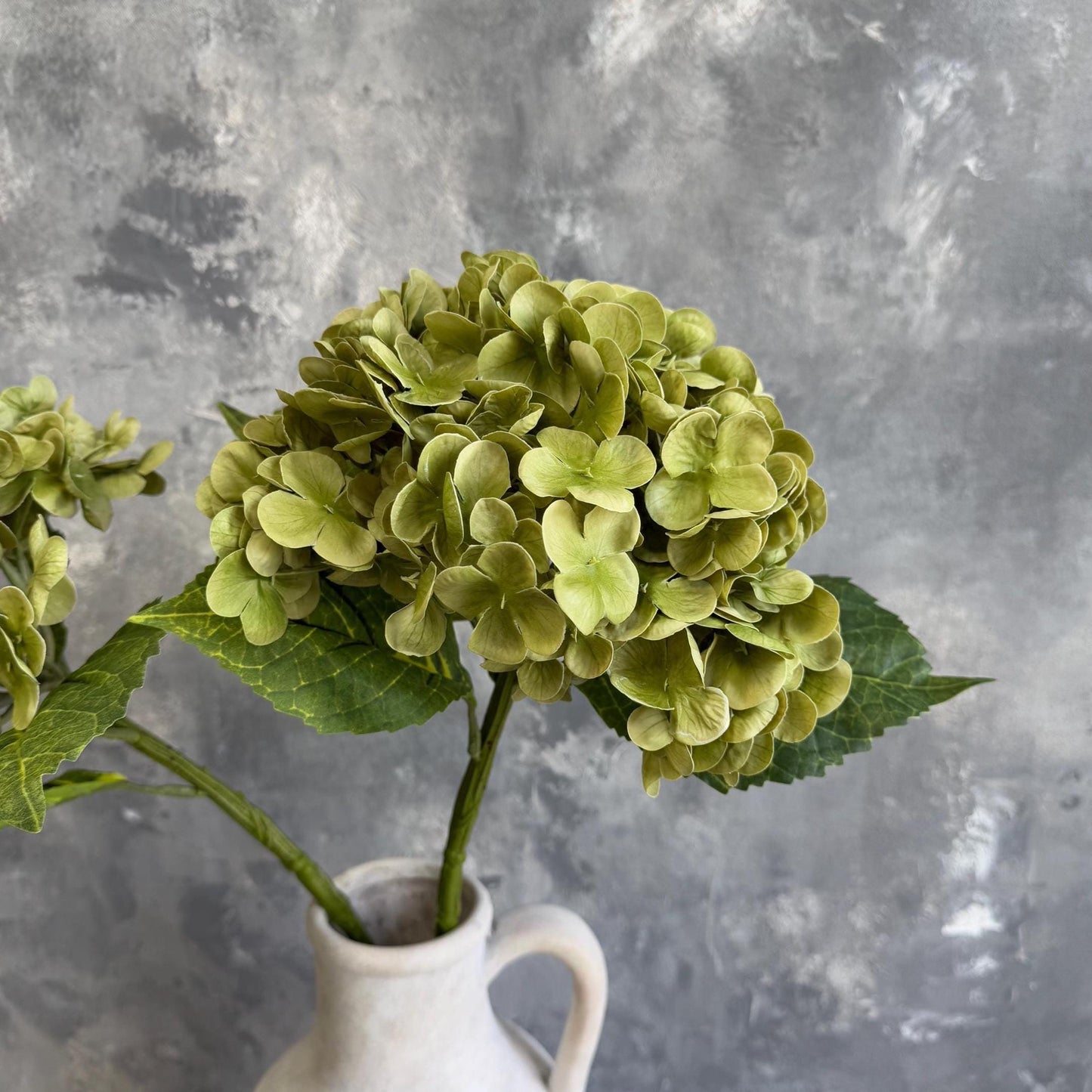 Antique matcha green hydrangea bloom detail