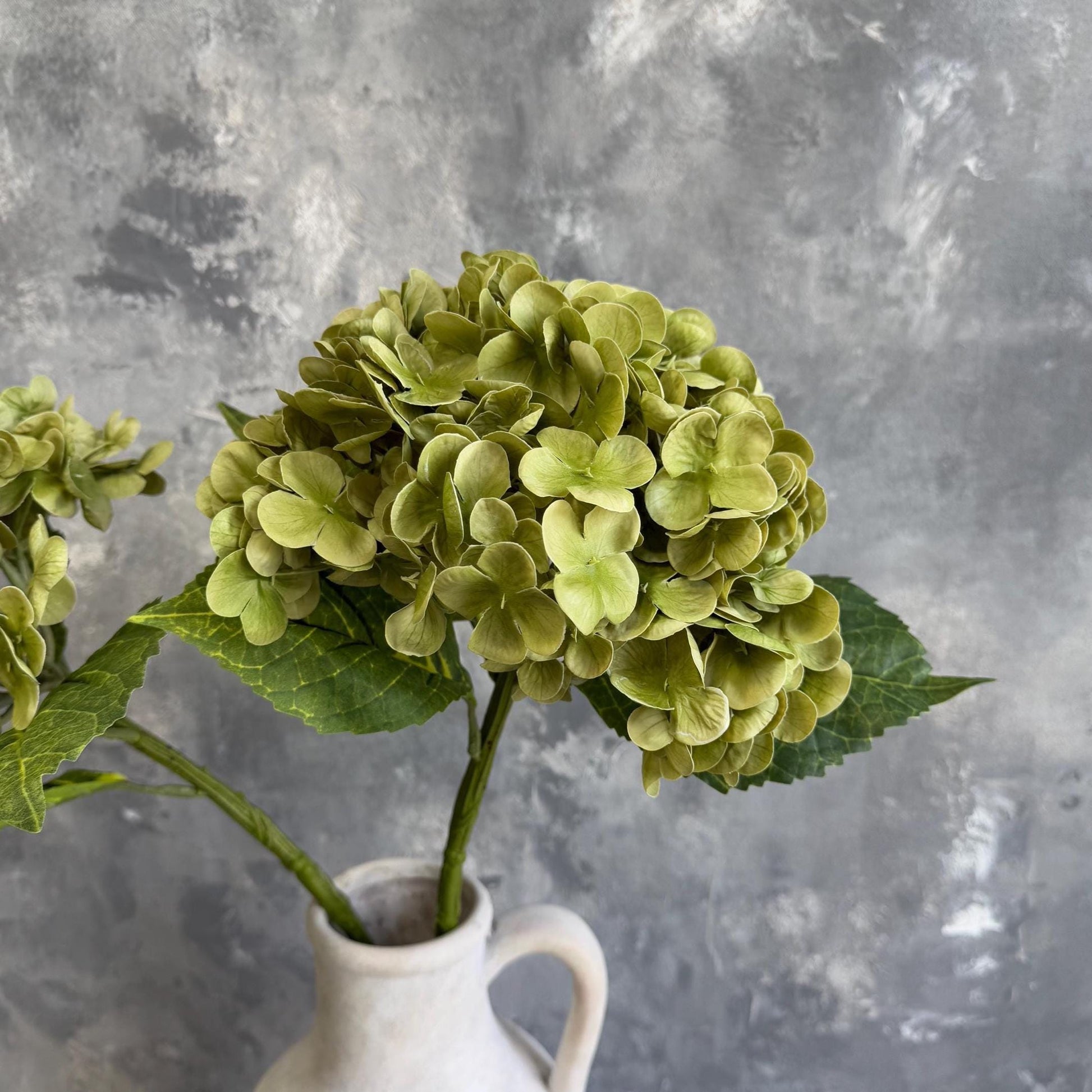 Antique matcha green hydrangea bloom detail