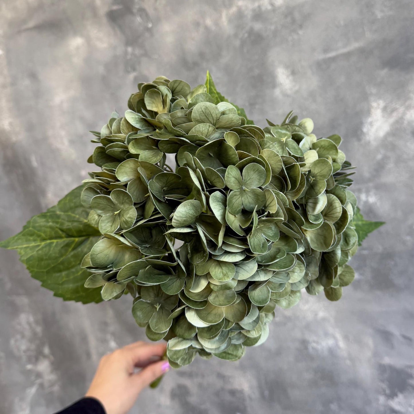Antique green hydrangea styling