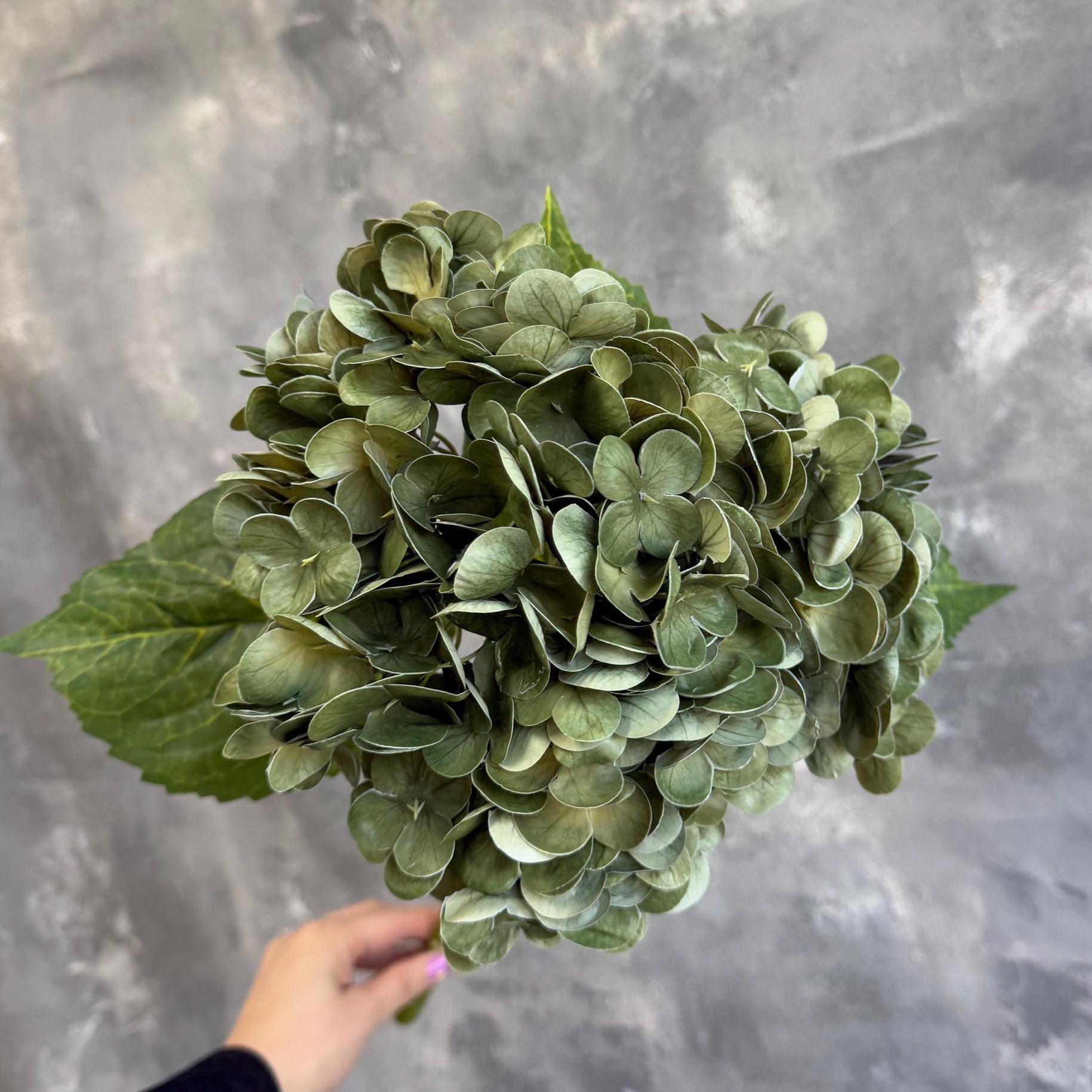 Antique green hydrangea styling