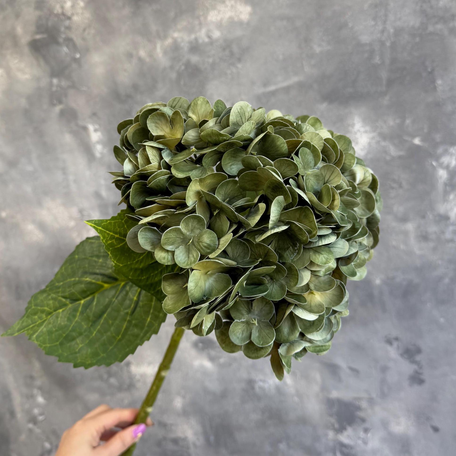 Antique green hydrangea in arrangement
