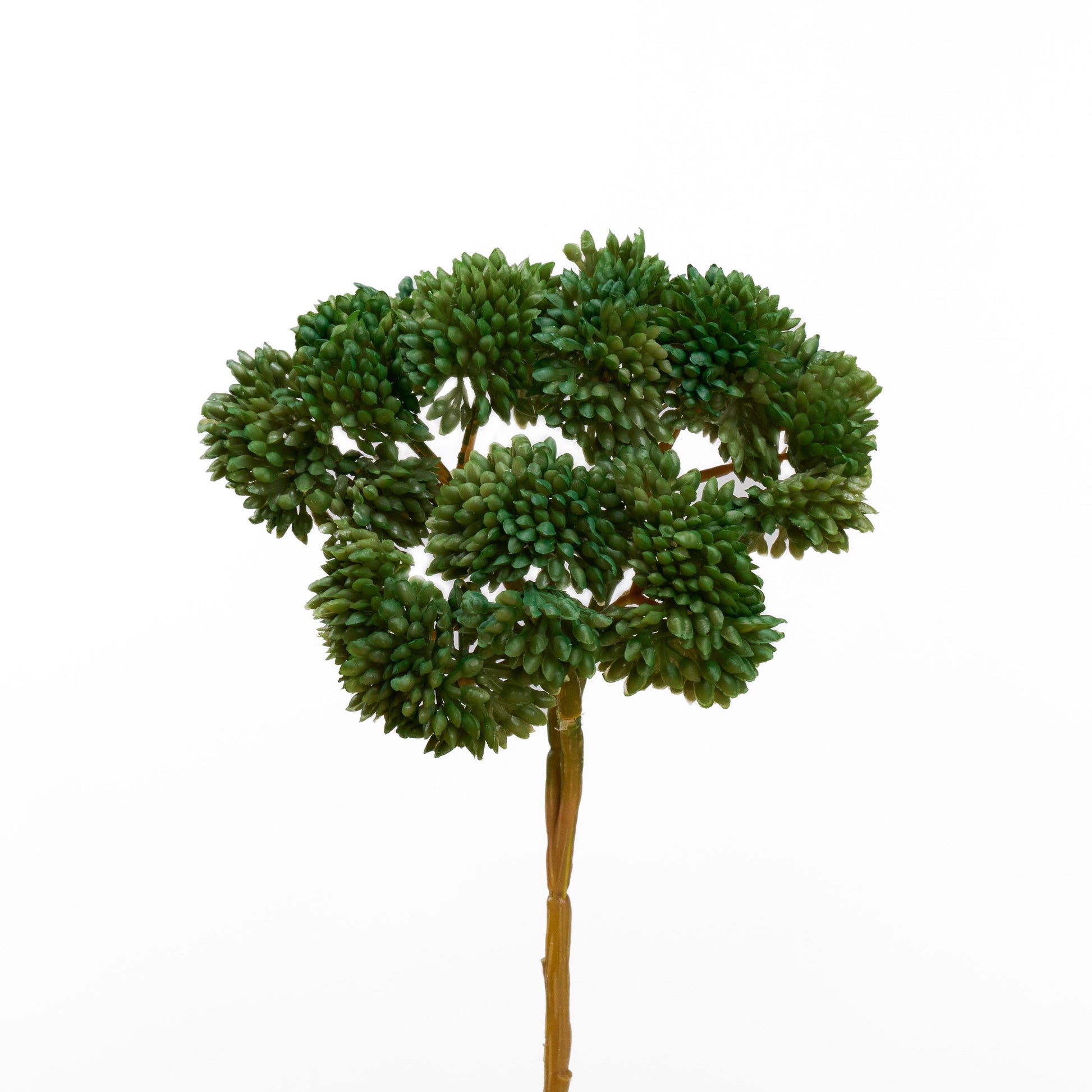 Real touch sedum cluster stem in forest green - single stem