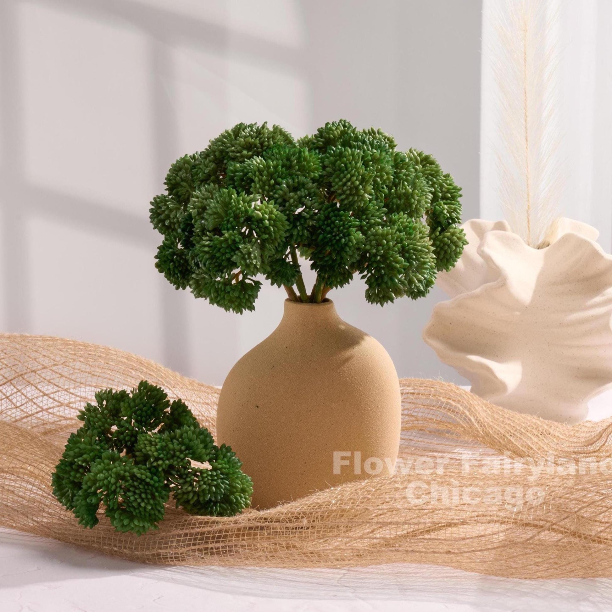Forest green sedum cluster arrangement in a vase