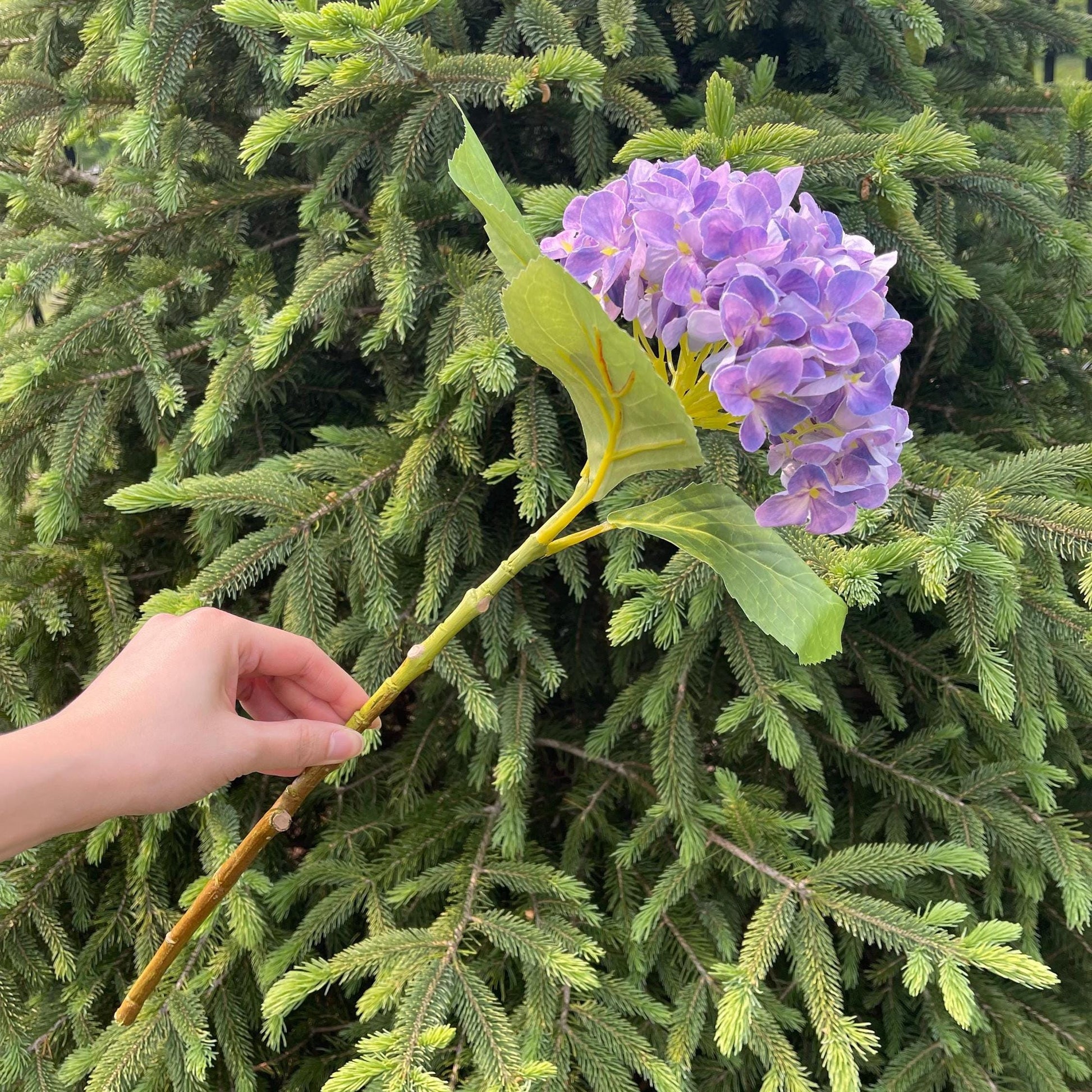 Purple faux hydrangea stem in garden light