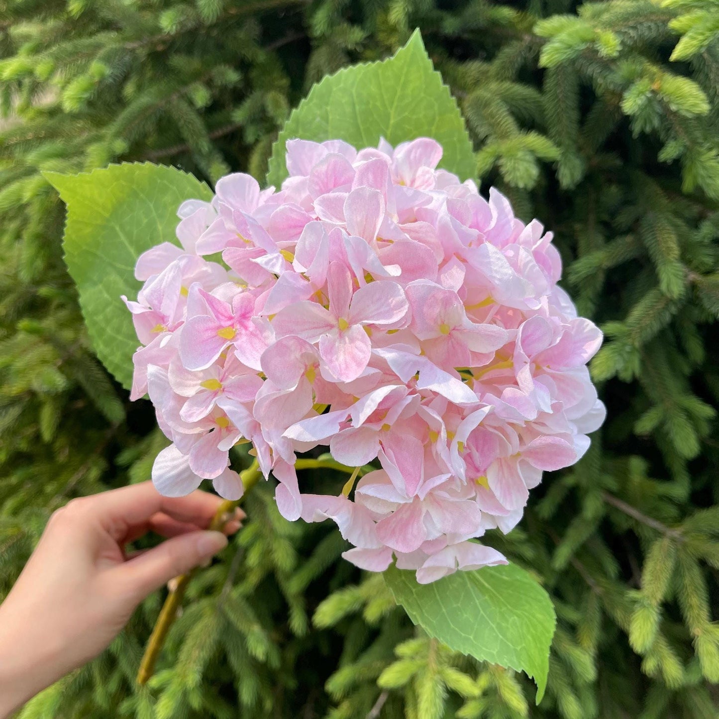 Light pink faux hydrangea flower head close-up