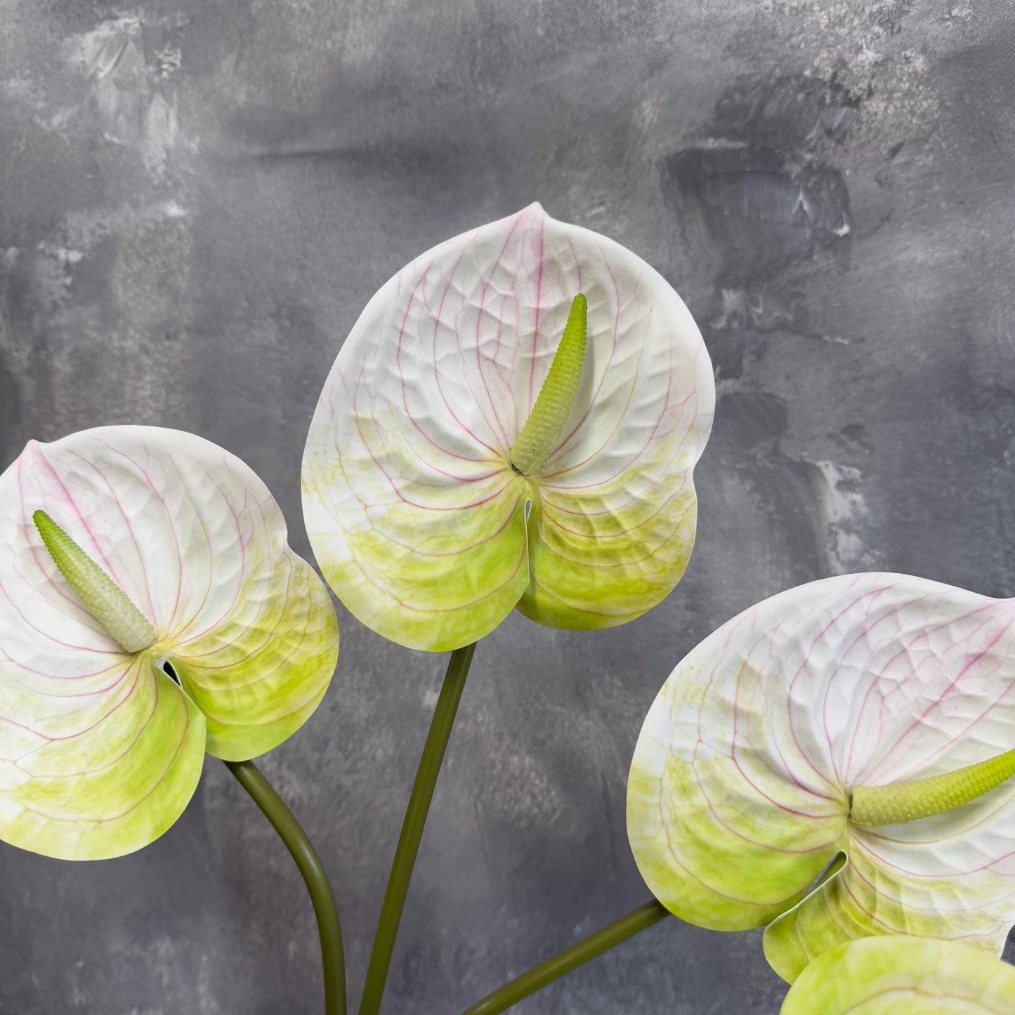 White real touch anthurium - three stems
