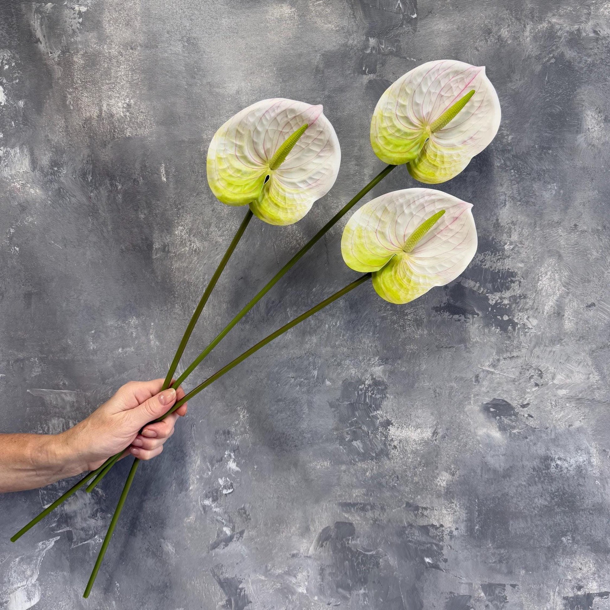 White real touch anthurium stem full view